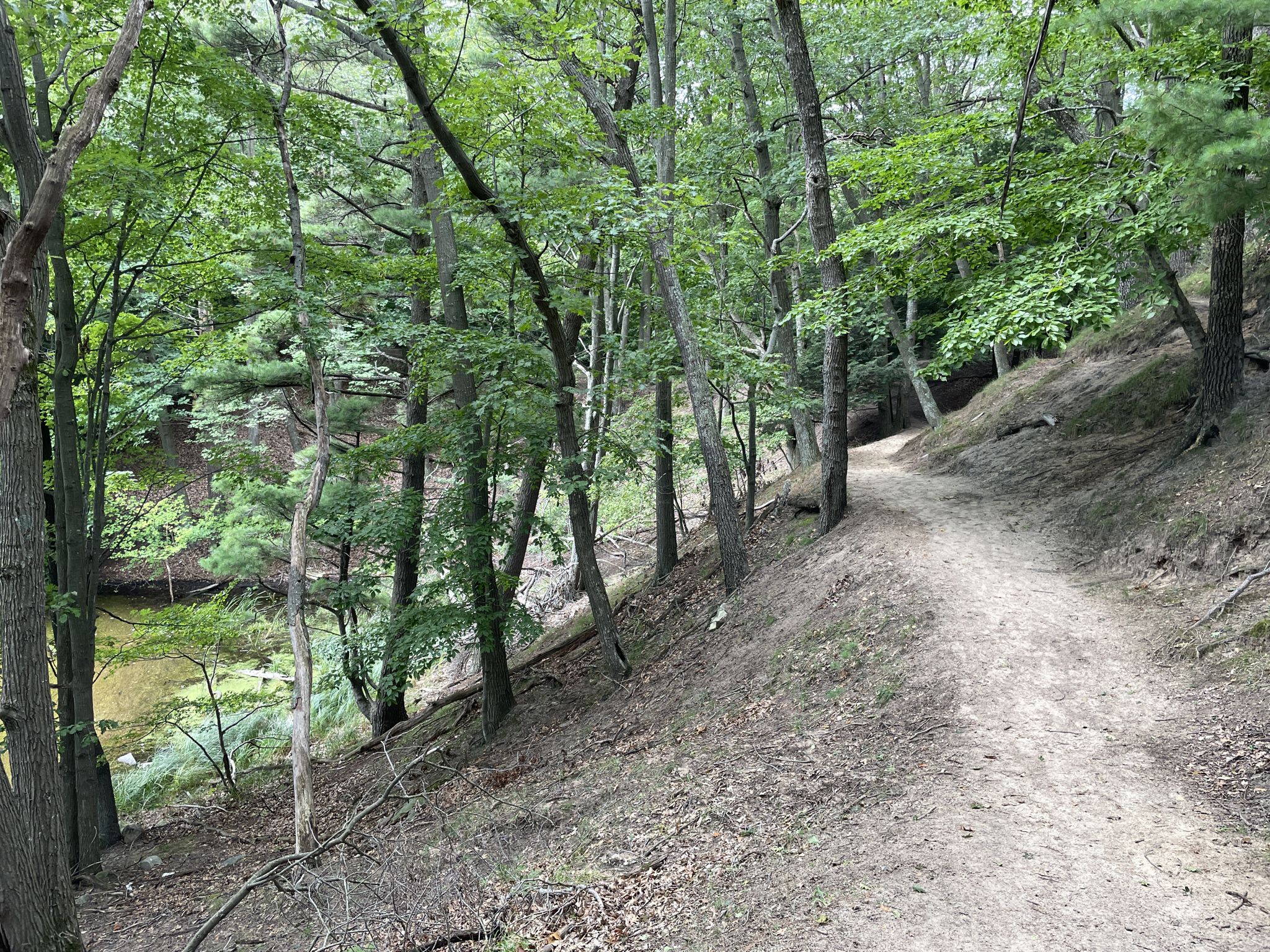 A dirt trail slopes uphill through a dense green forest beside water. - Nordhouse Dunes Extended Backpacking Loop