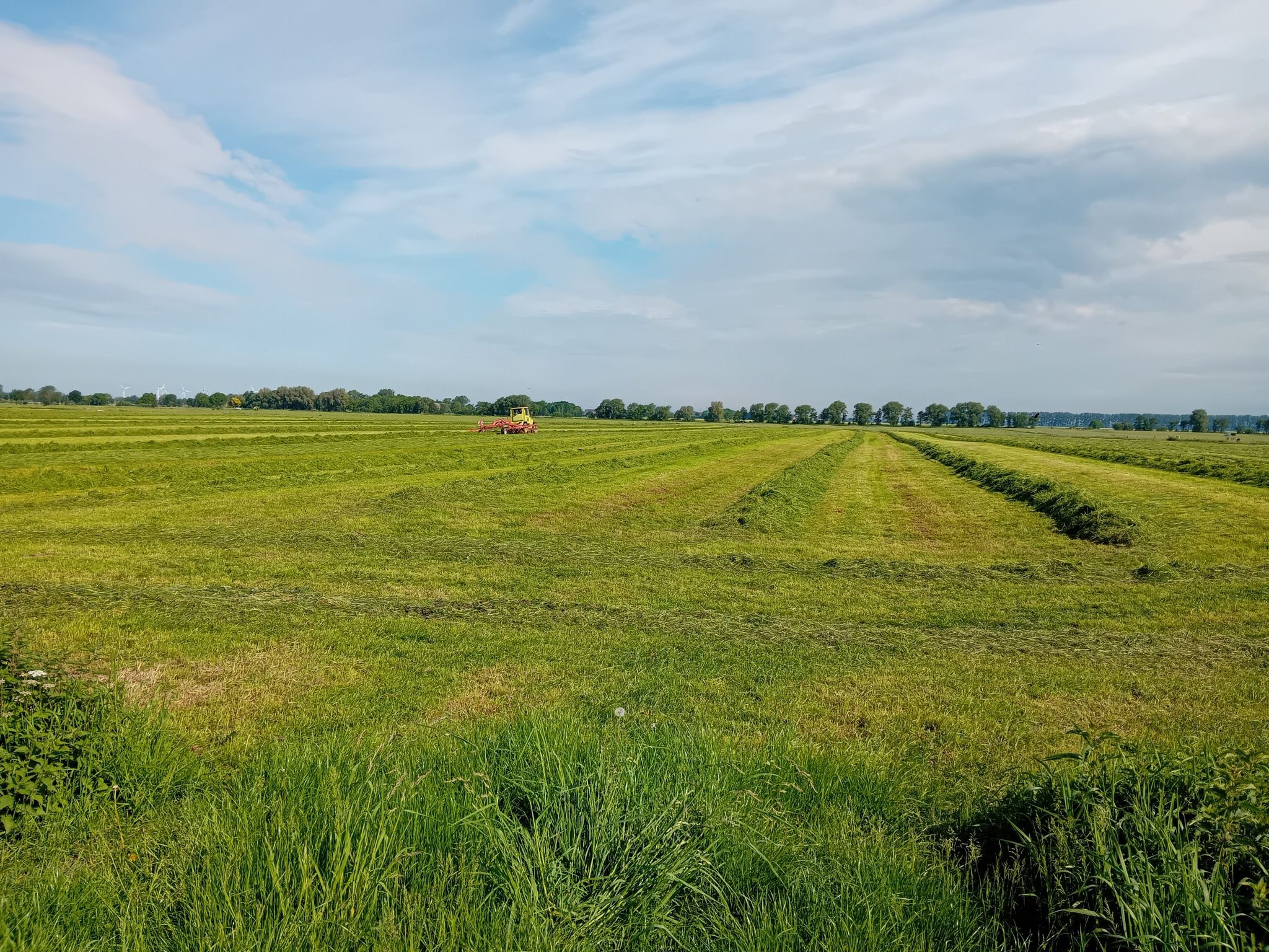 Heuwenden