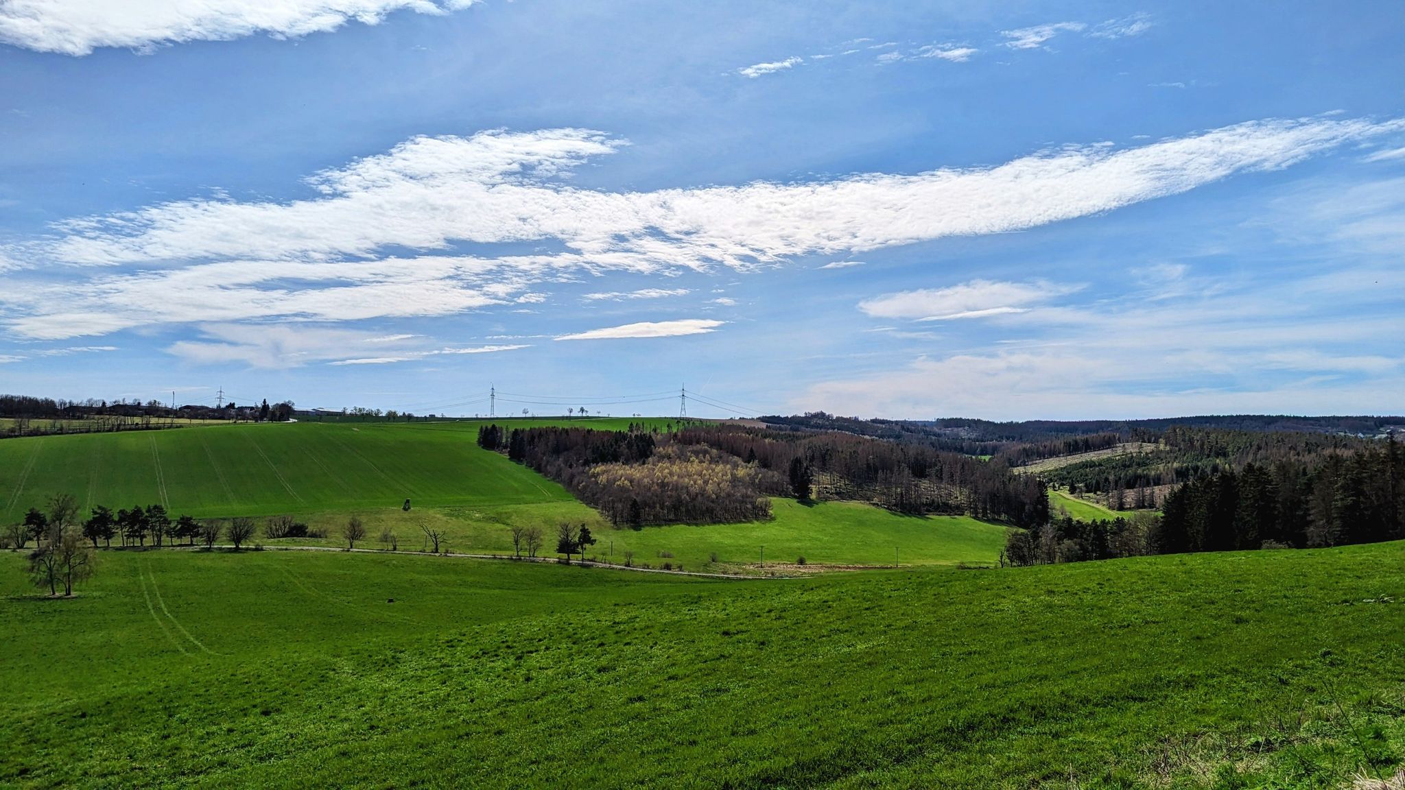 Blick auf die Saalfelder Höhe