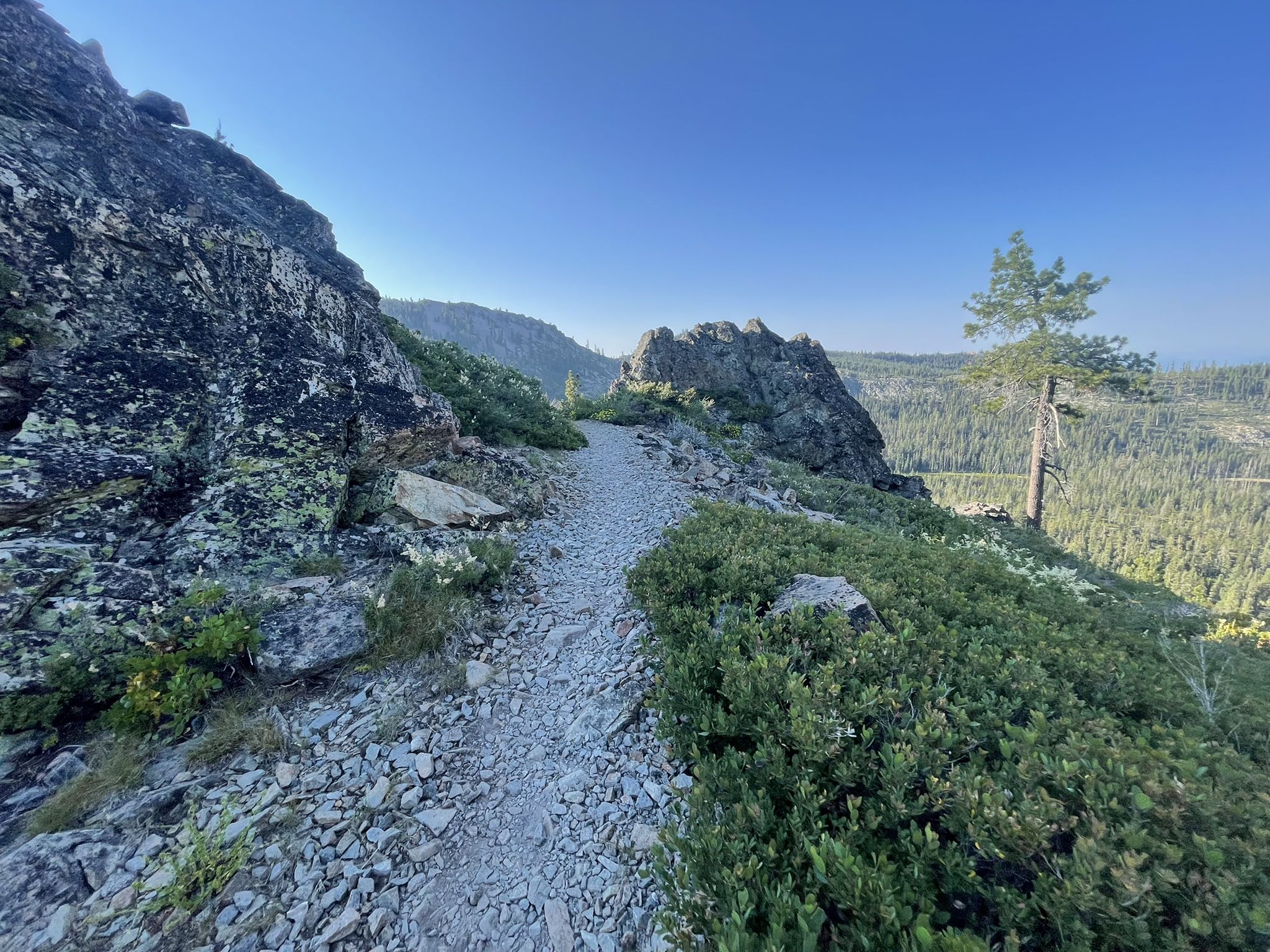 Rocky trail winds along a steep mountainside overlooking a vast forested valley. - Seven Lakes Basin via the PCT