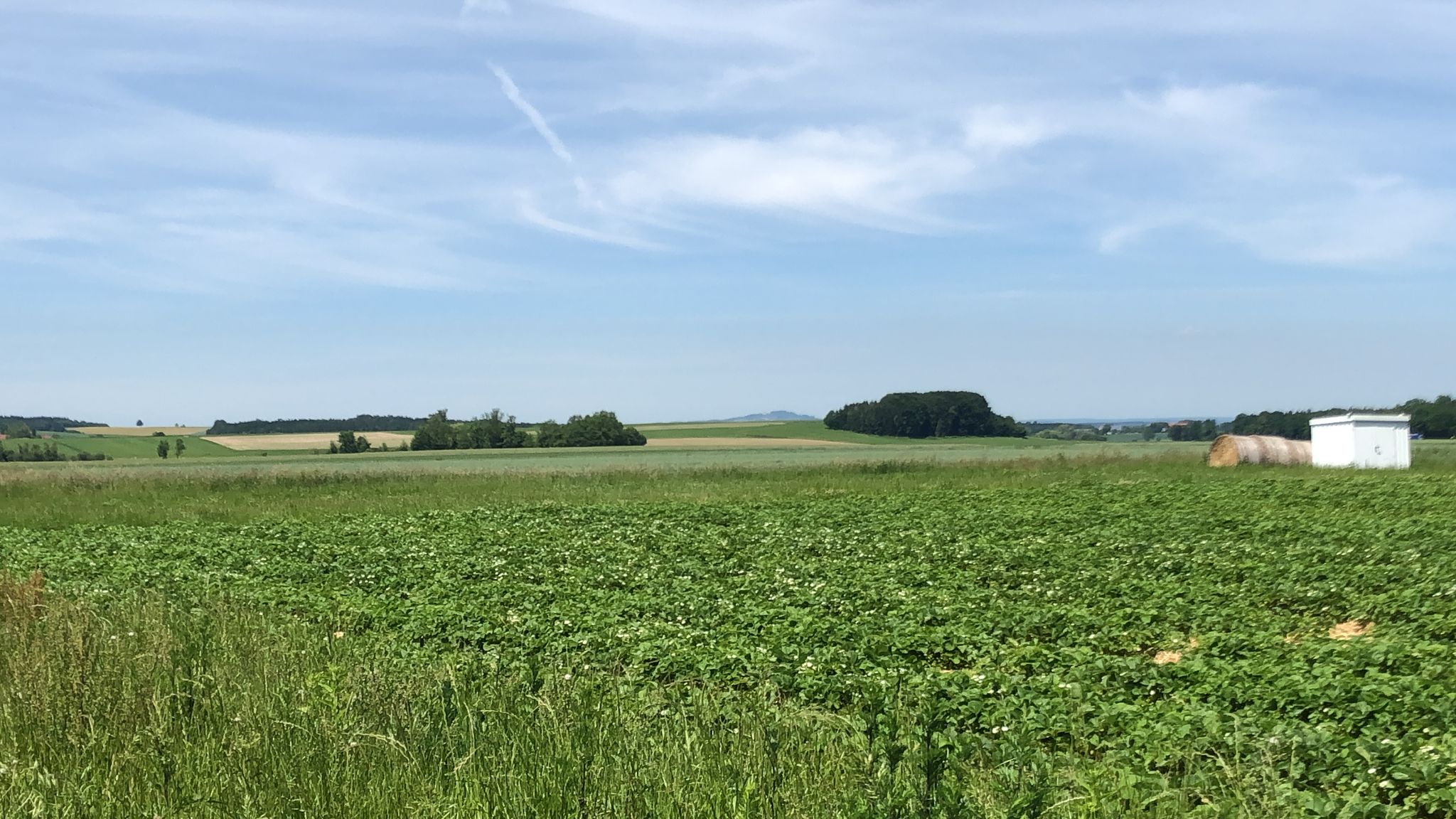 Der "heilige Berg Oberschwabens" - der Bussen