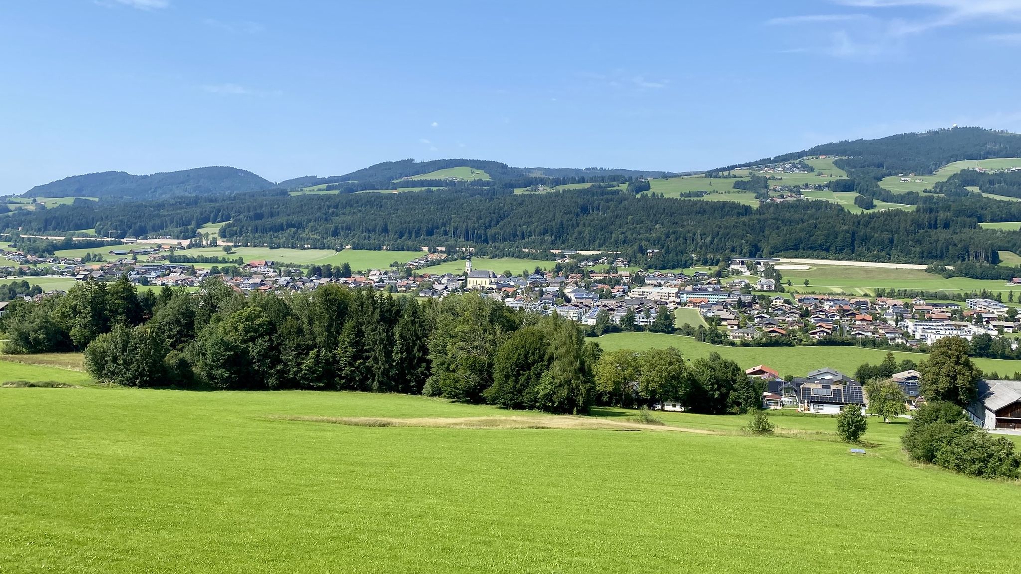 Thalgau