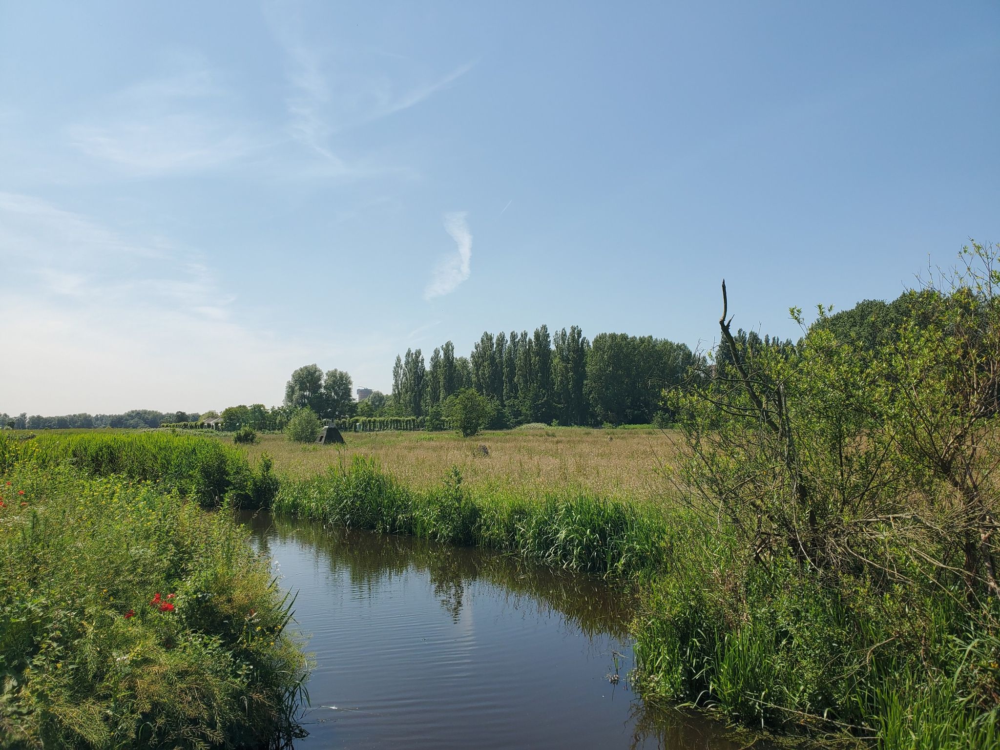 Cronesteyn is een groene oase in Leiden