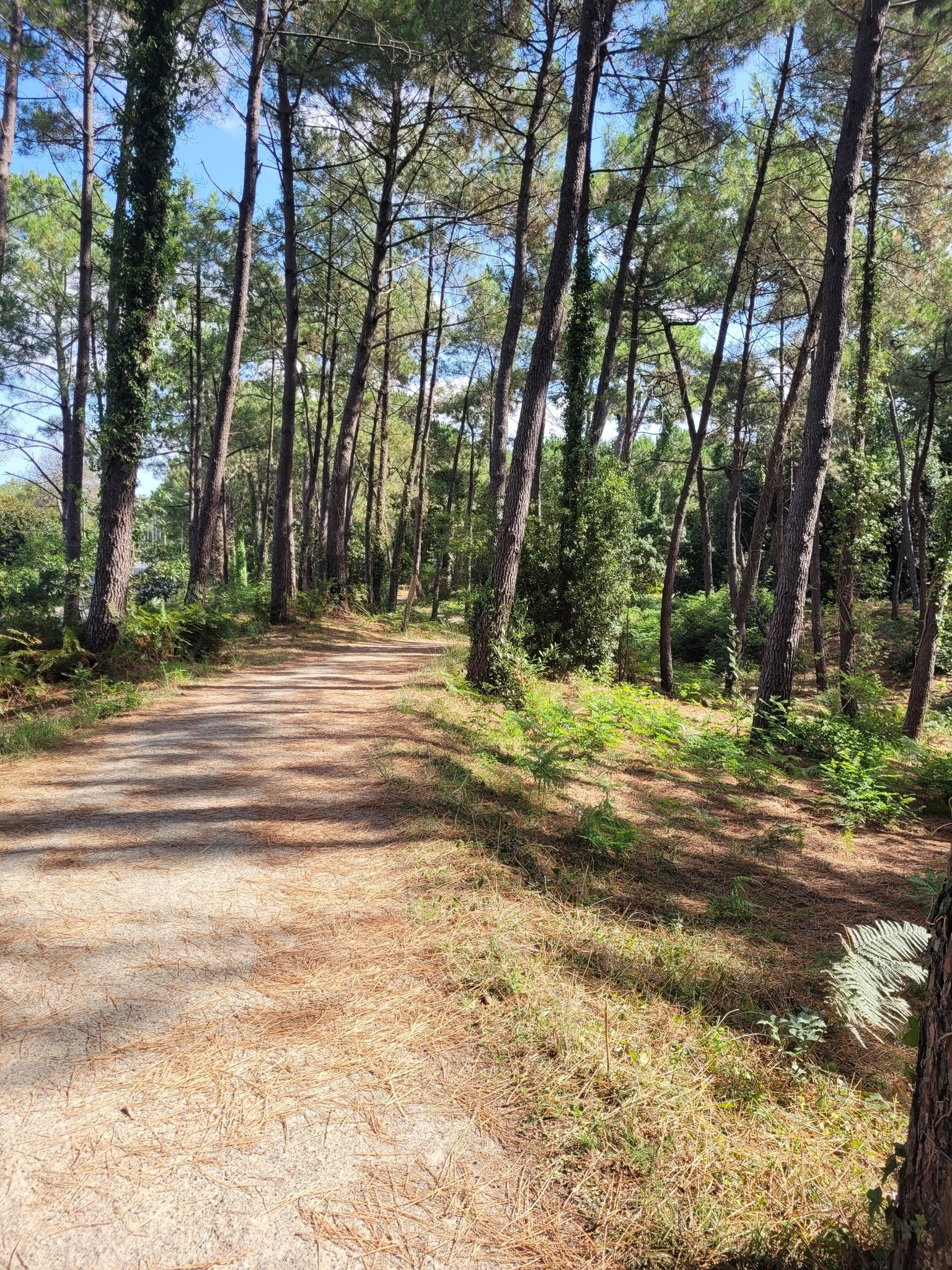 voie verte de montbrun