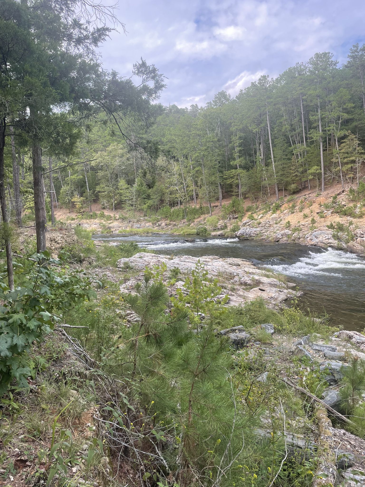 A river with rapids flows through a dense, green forest under a cloudy sky. - Skyline Trail