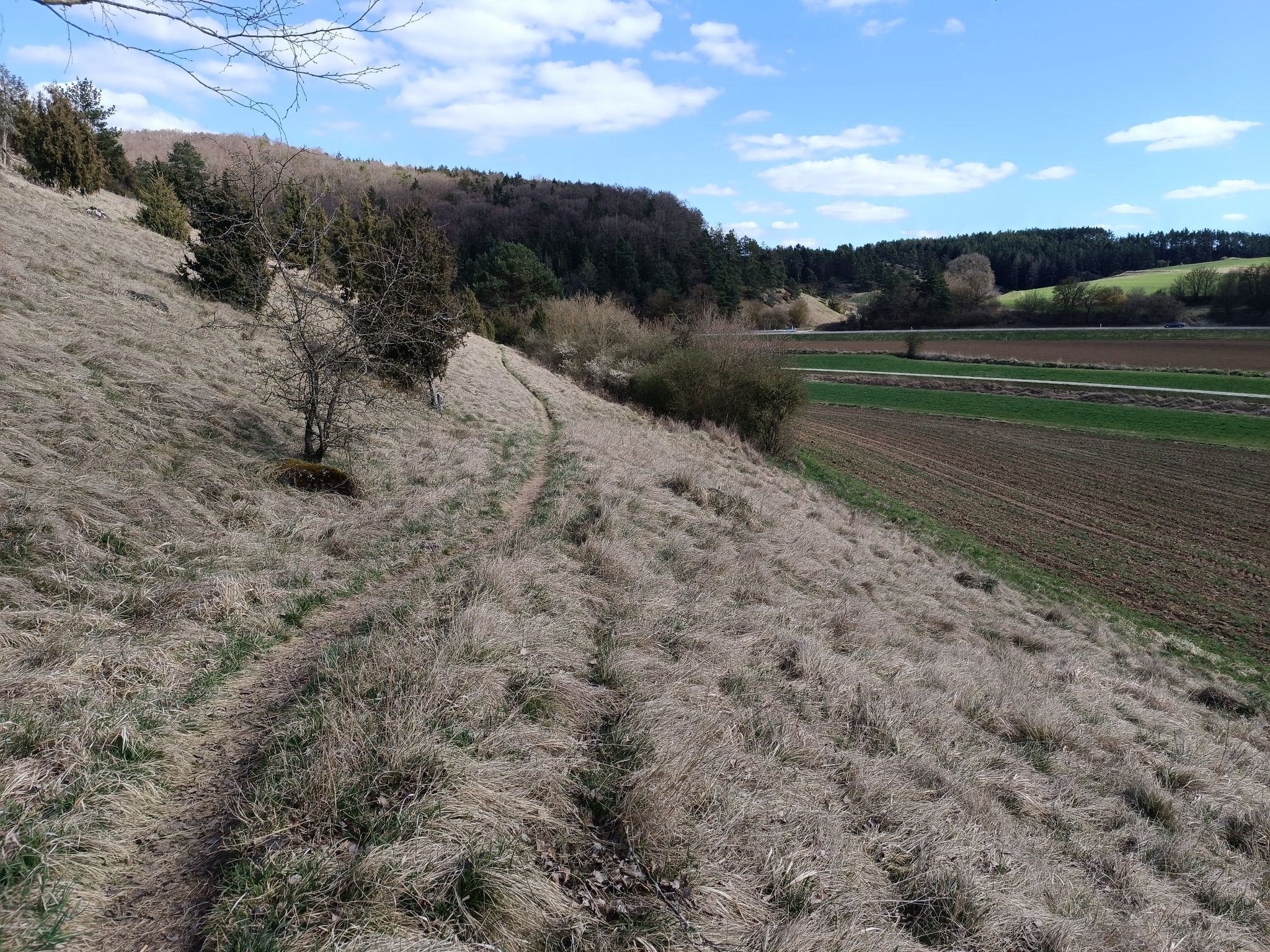 schöner Trialweg