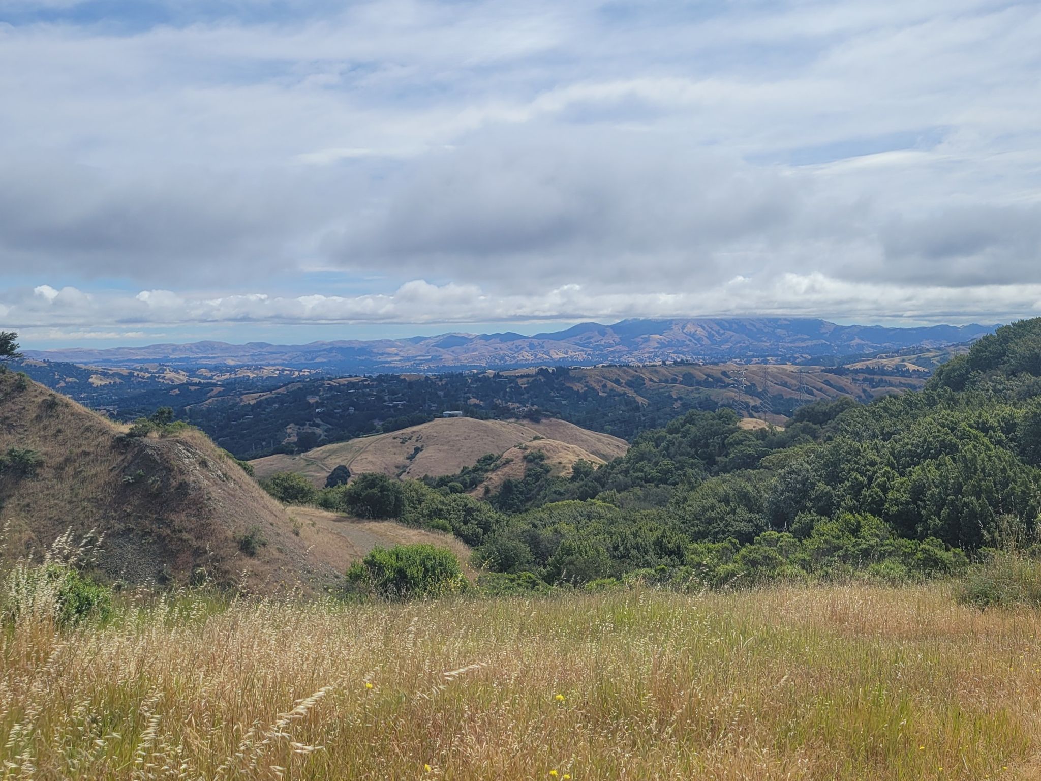 Rolling hills with dry grass and green trees under a cloudy sky. - Round Top Loop Trail – Volcanic Trail loop from Sibley Volcanic Regional Preserve