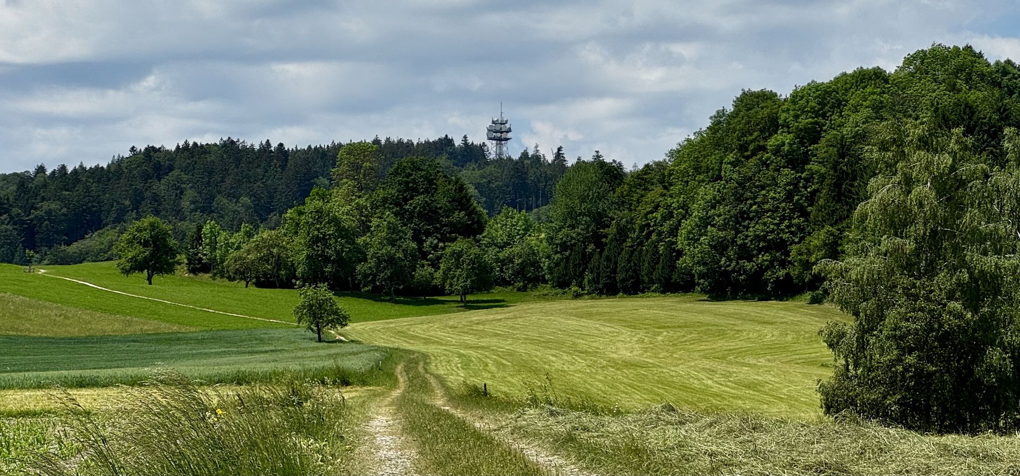 ....und ein Rückblick zum Sender am Sulzberg