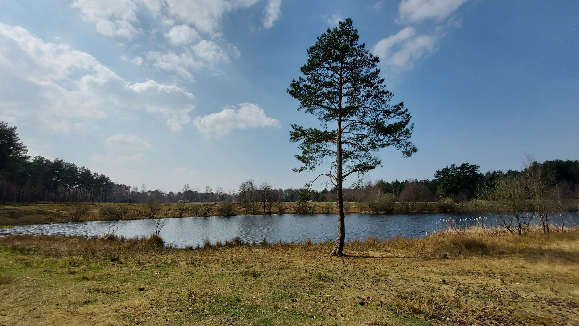 Heide