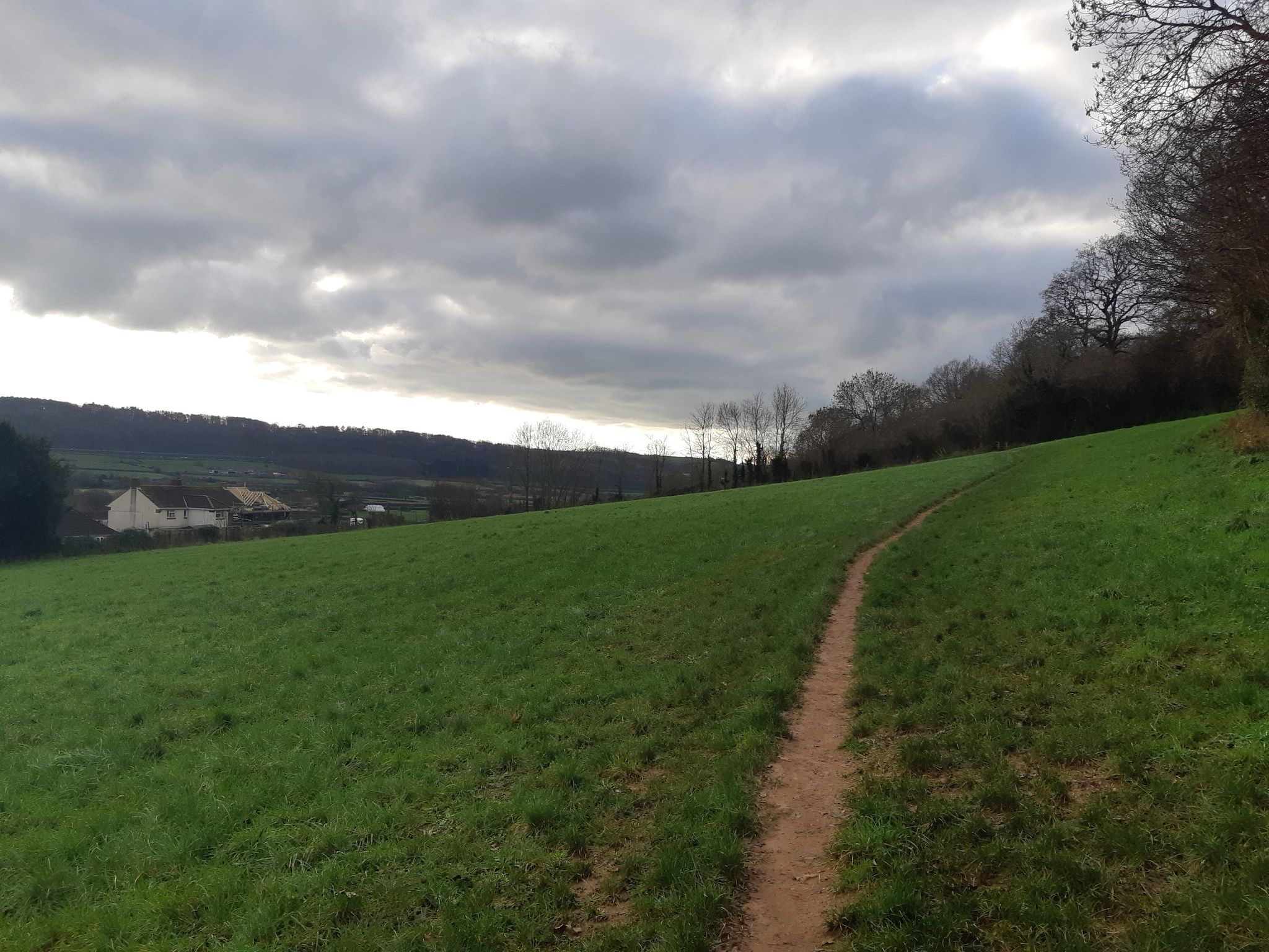 Footpath beside Weston Big Wood Nature Reserve