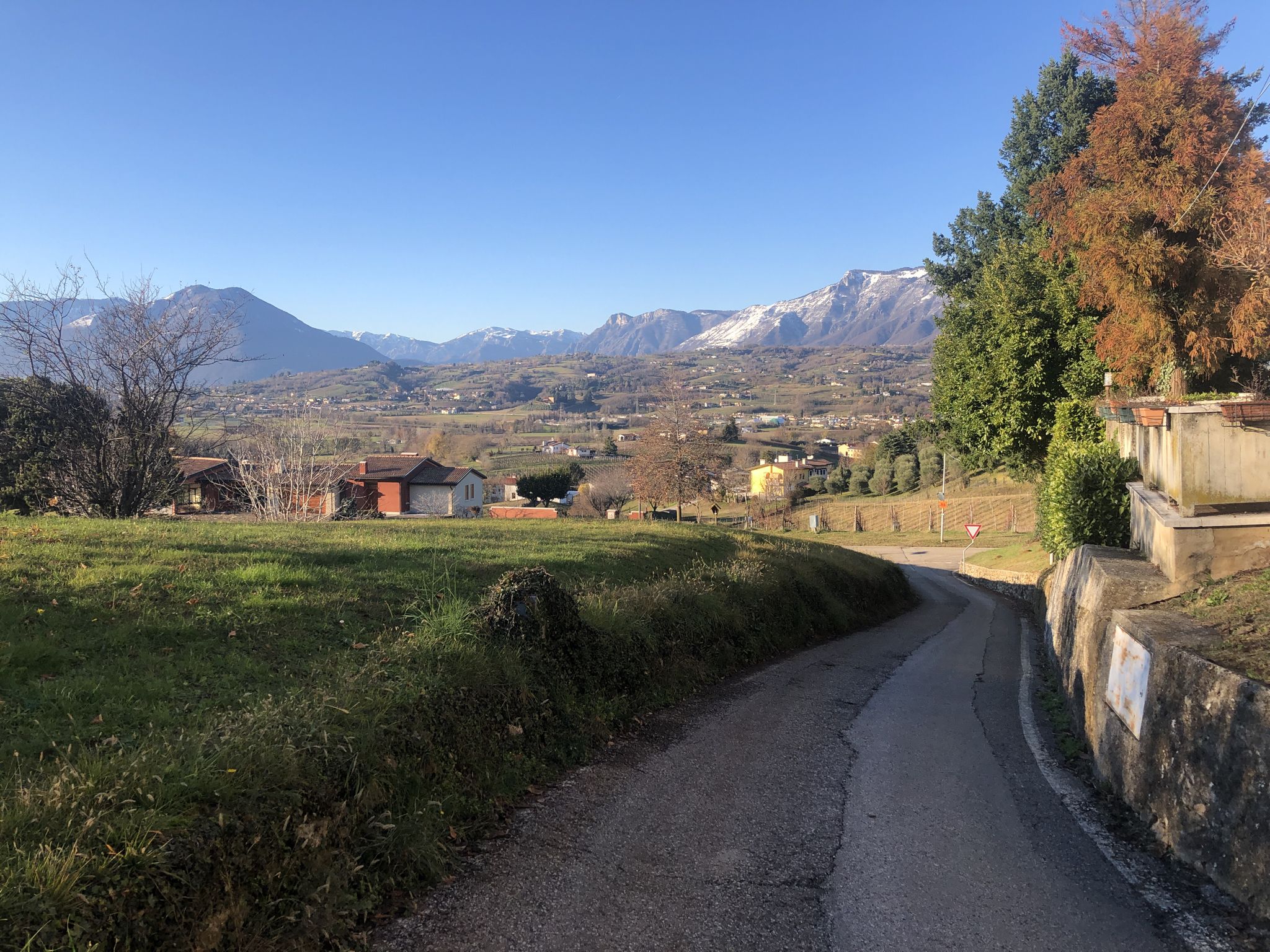 Panorama 