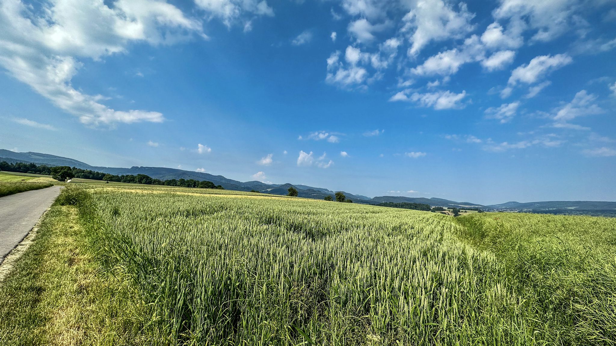 ...Ziel fast erreicht...