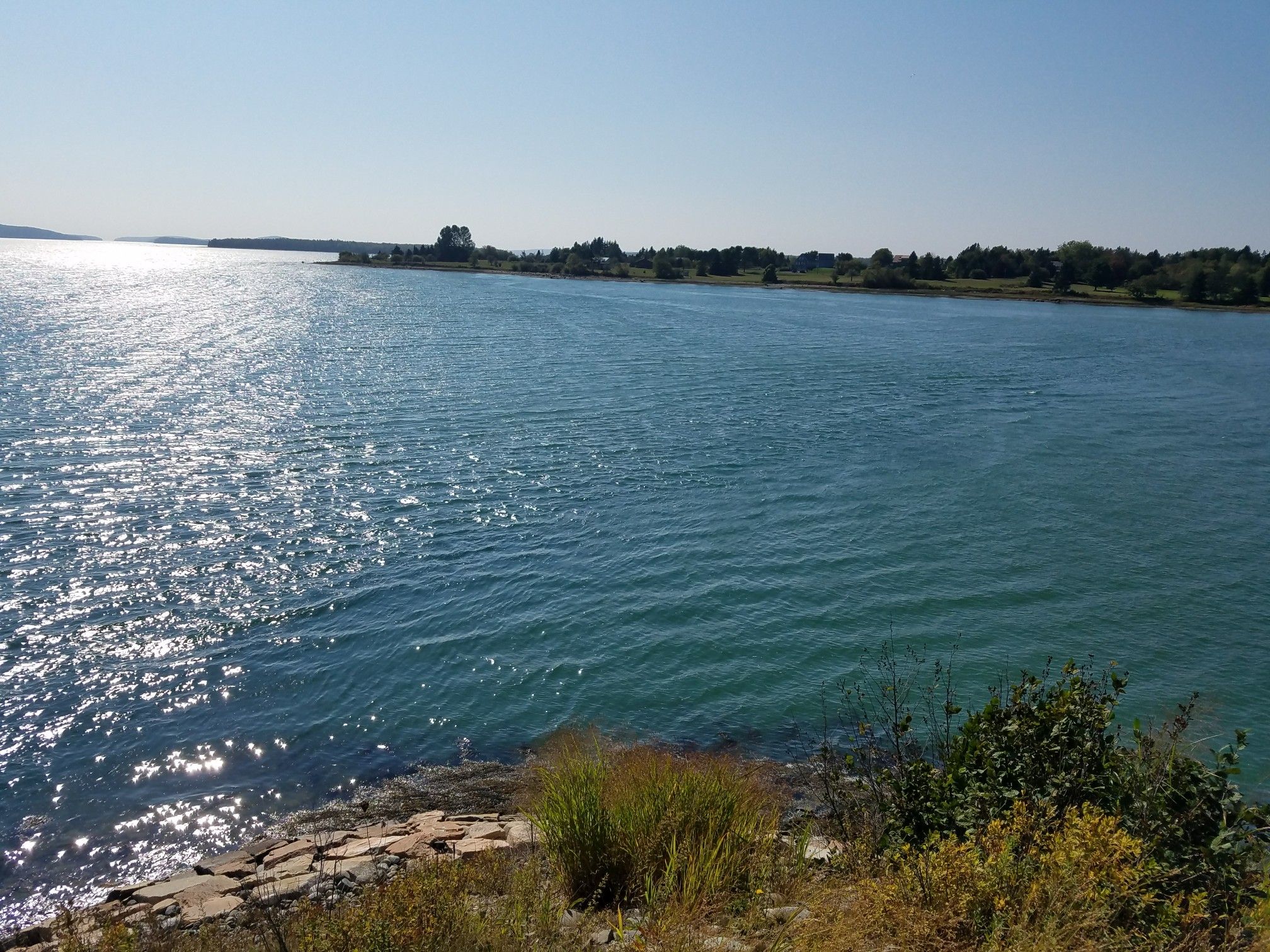 Sparkling blue water with distant land under a clear, sunny sky. - Ellsworth to Bar Harbor loop