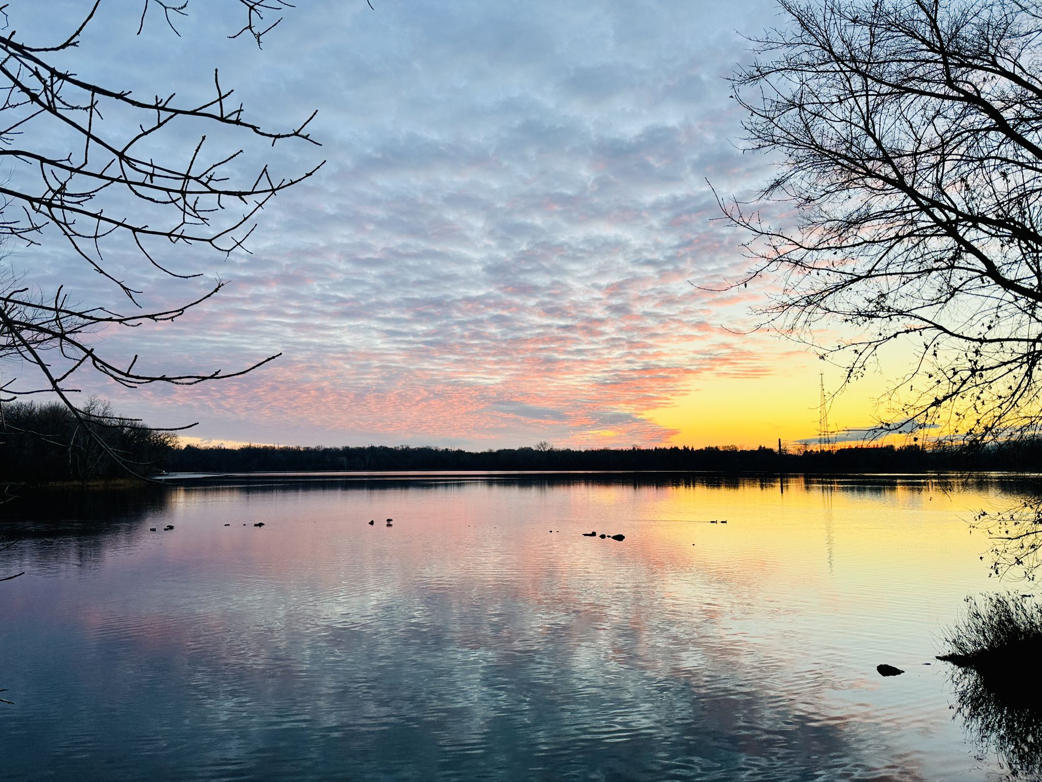 Vibrant sunset over a calm lake, reflecting pink and orange hues, with ducks. - Parker's Lake Loop
