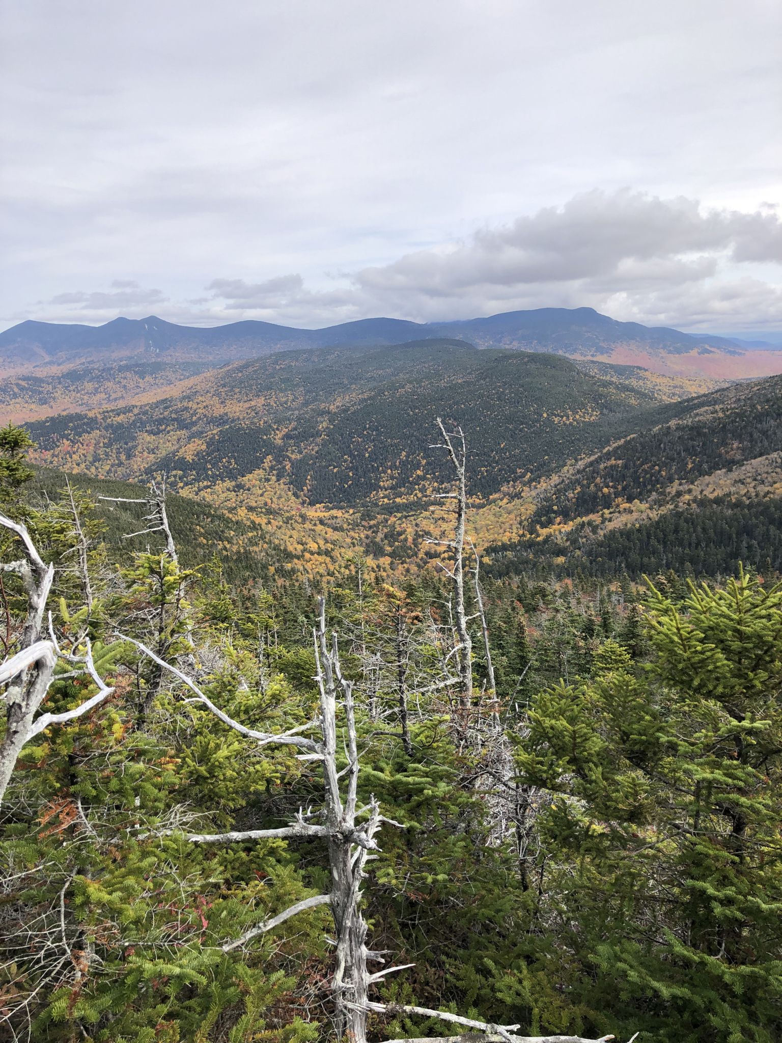Autumn mountain landscape with mixed green and golden trees under an overcast sky. - Sandwich Mountain Trail