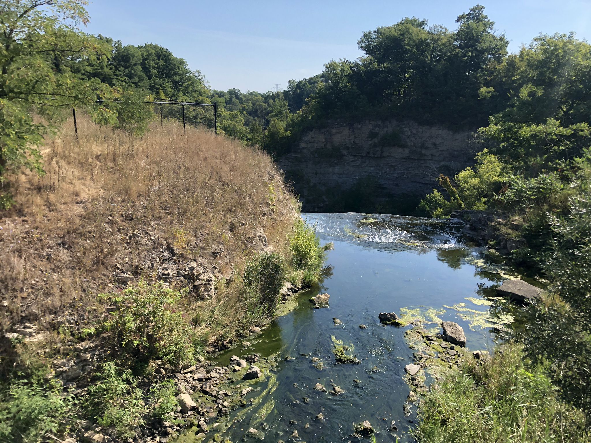 Albion Falls