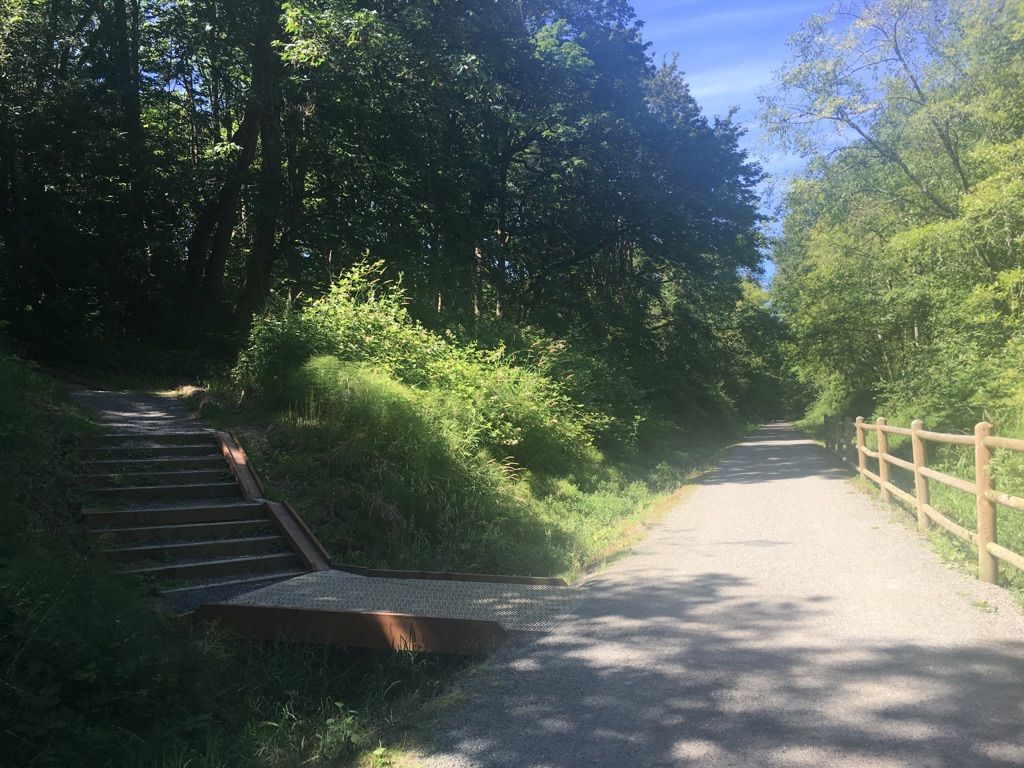 A gravel path forks with stairs, surrounded by a dense green forest. - Cross Kirkland Corridor – Cross Kirkland Corridor loop from Kirkland