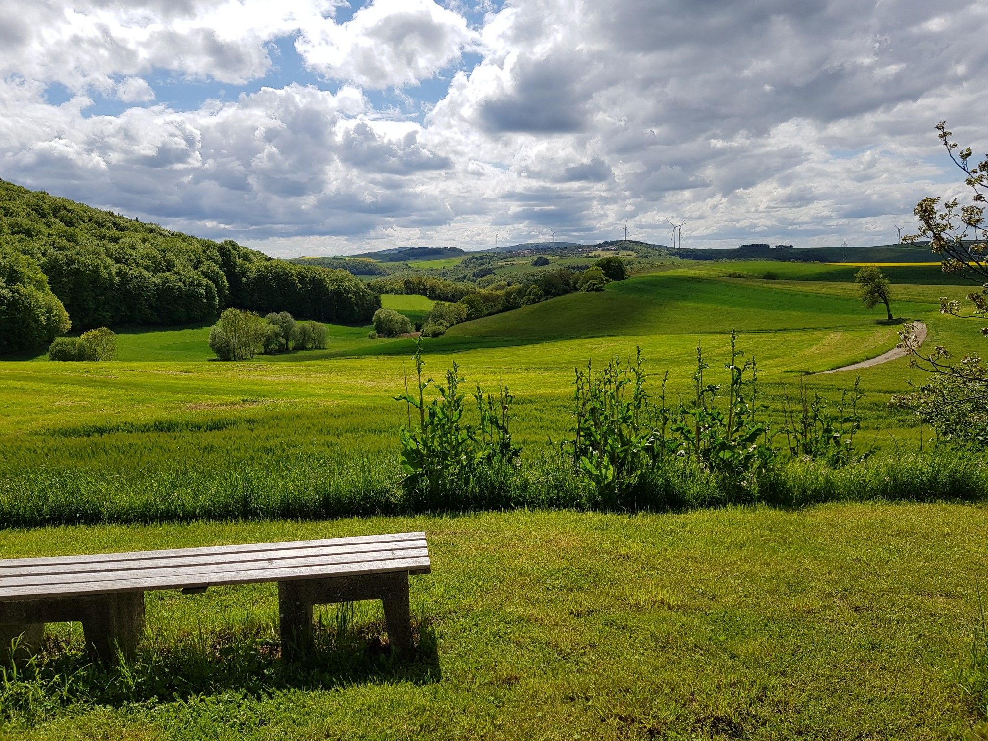 Blick nach Relsberg mit Ruhebank