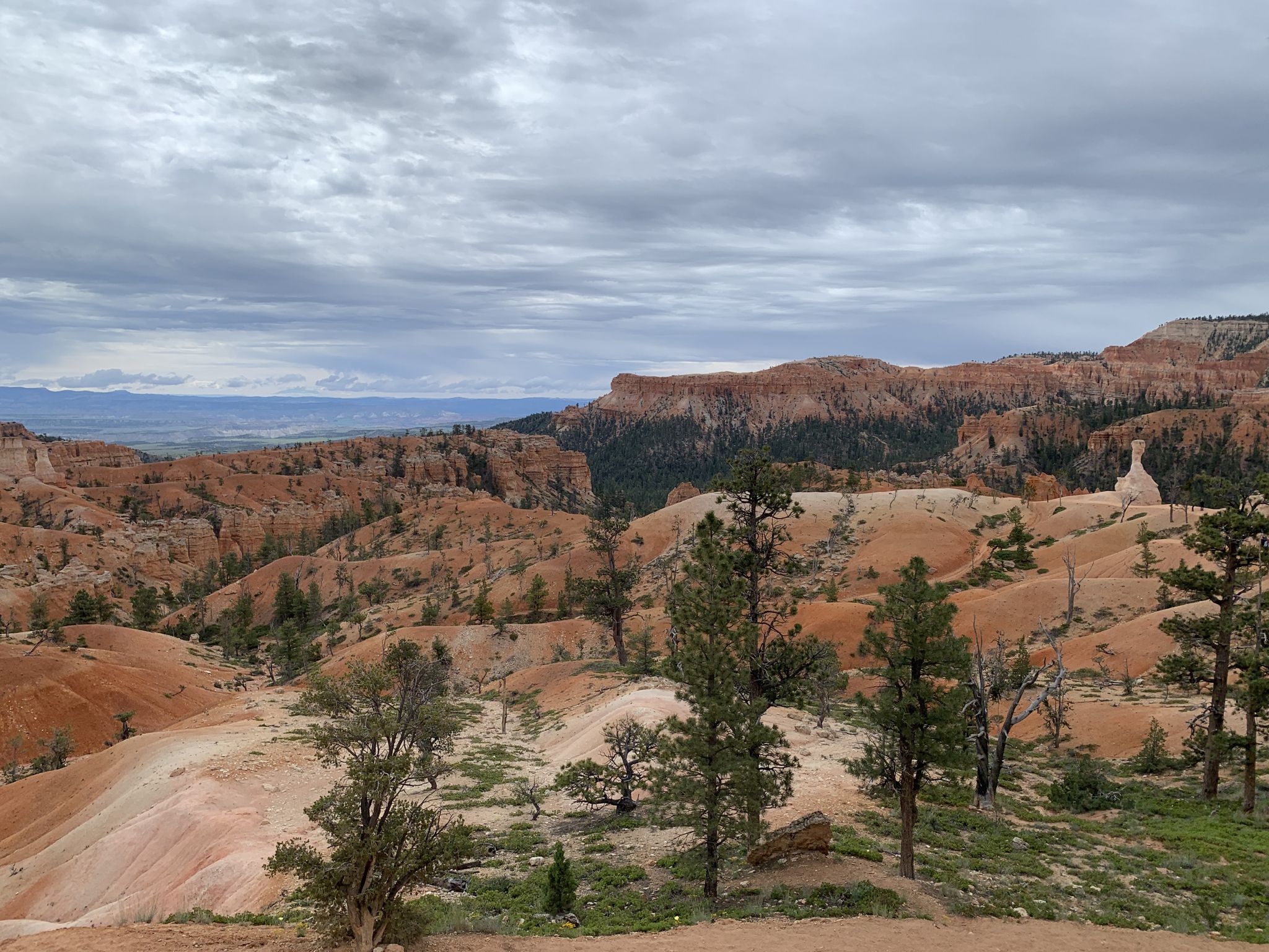 Wide view of orange rock formations and green trees under a cloudy sky. - Sunset Point – Queens Garden Trail loop from Bryce Canyon Lodge