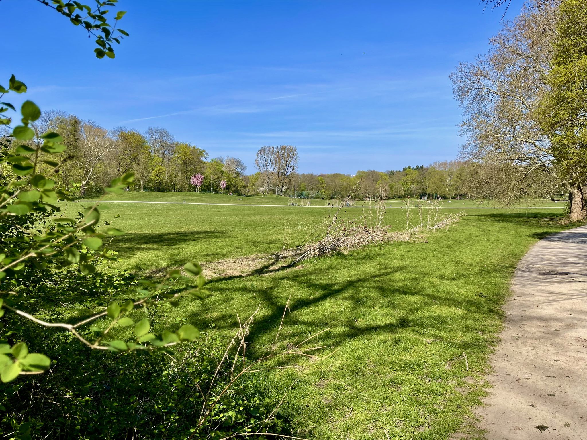 im Beethovenpark