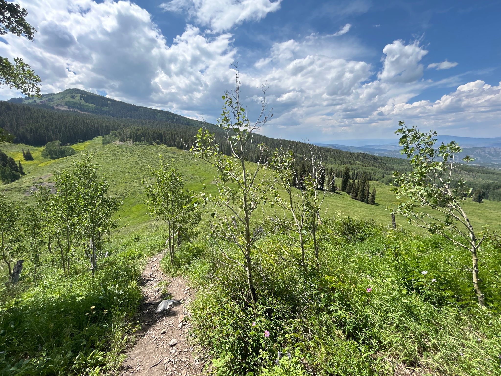 Dirt path through green hills and trees under a partly cloudy sky. - Government Trail and Buttermilk Mountain Loop