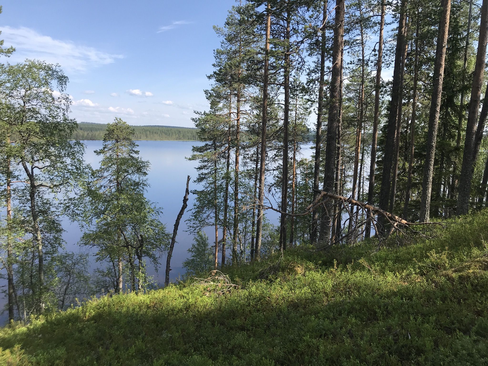 View on the lake