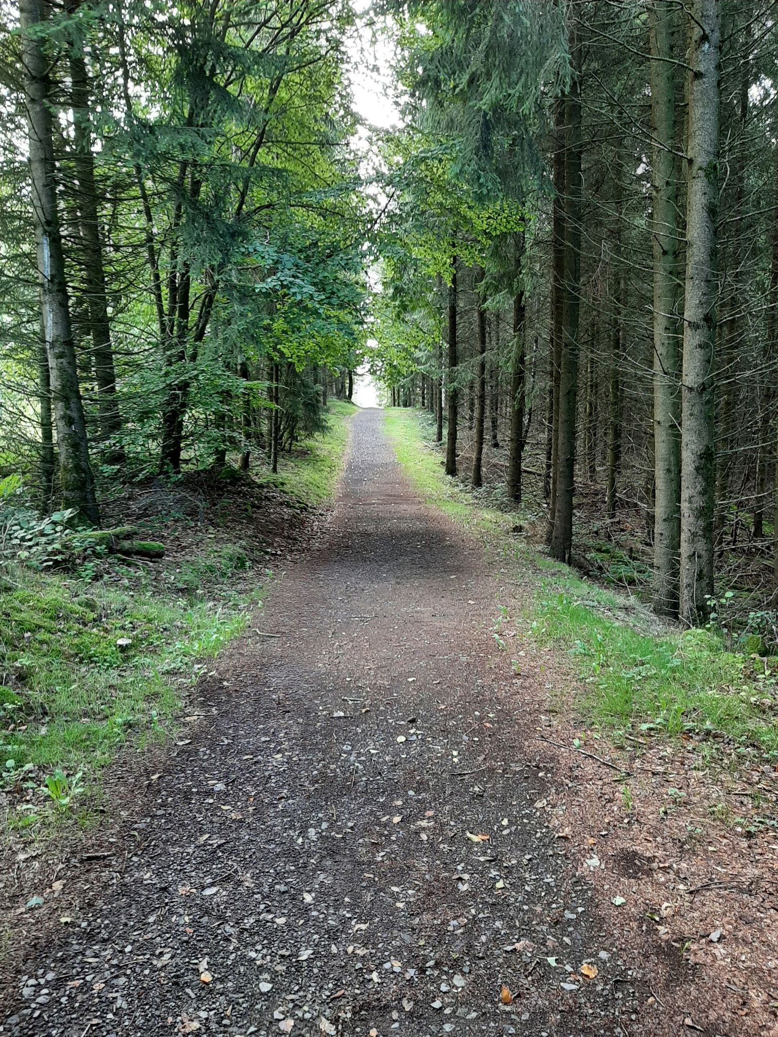 von hinten