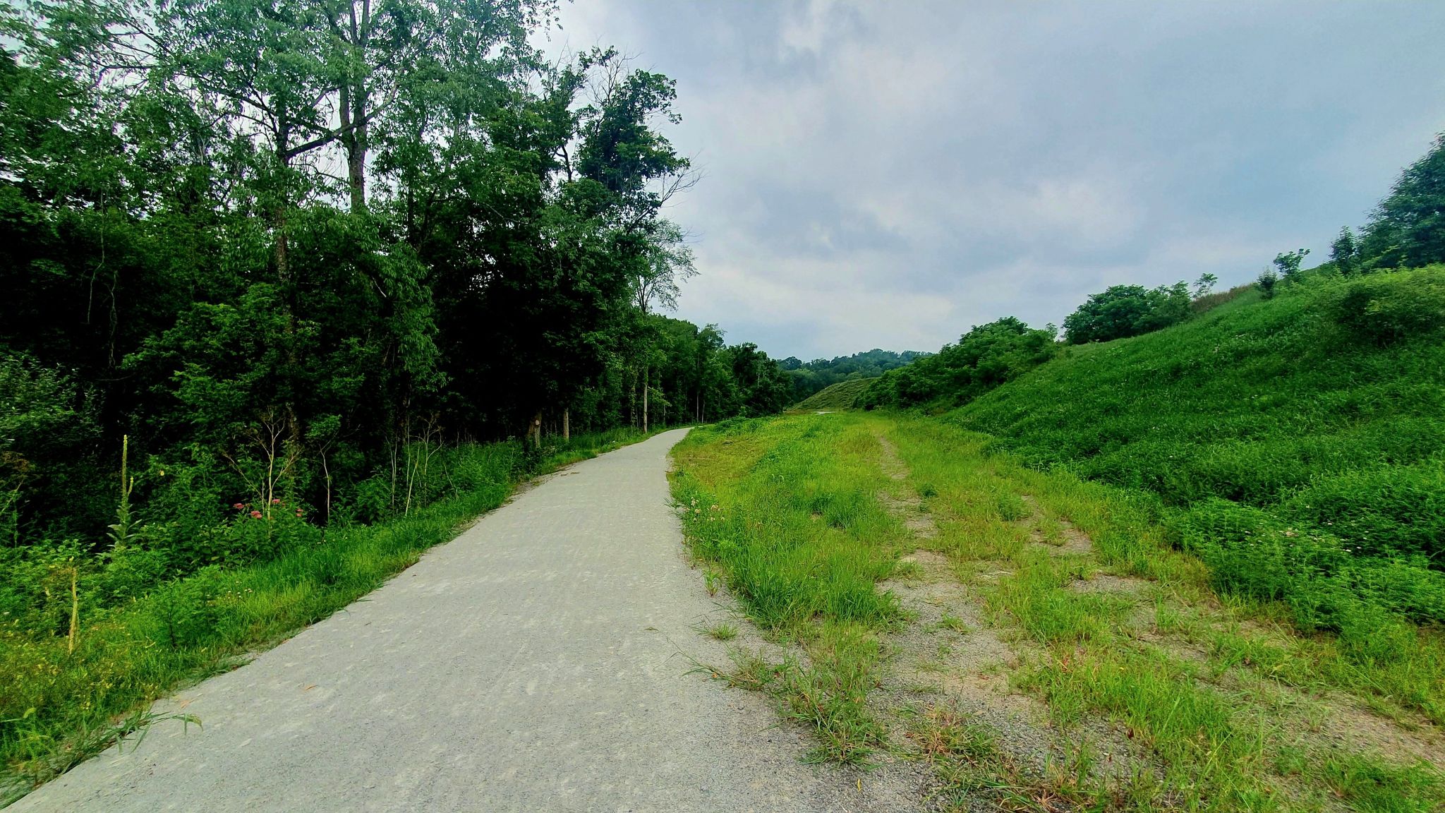 A winding dirt path next to a grassy hill and dense green trees, overcast. - Montour Trail Trailhead loop from Clairton