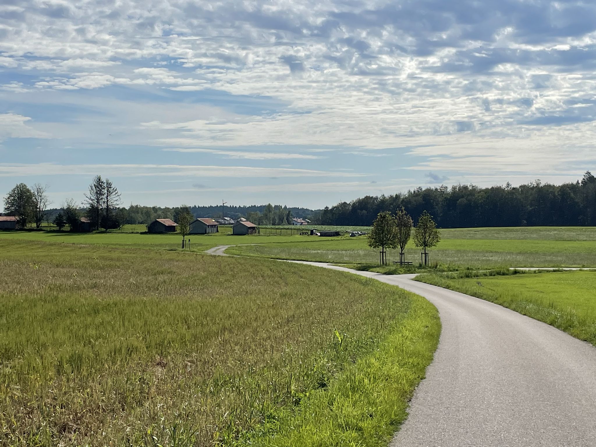 Weg nach Schacha