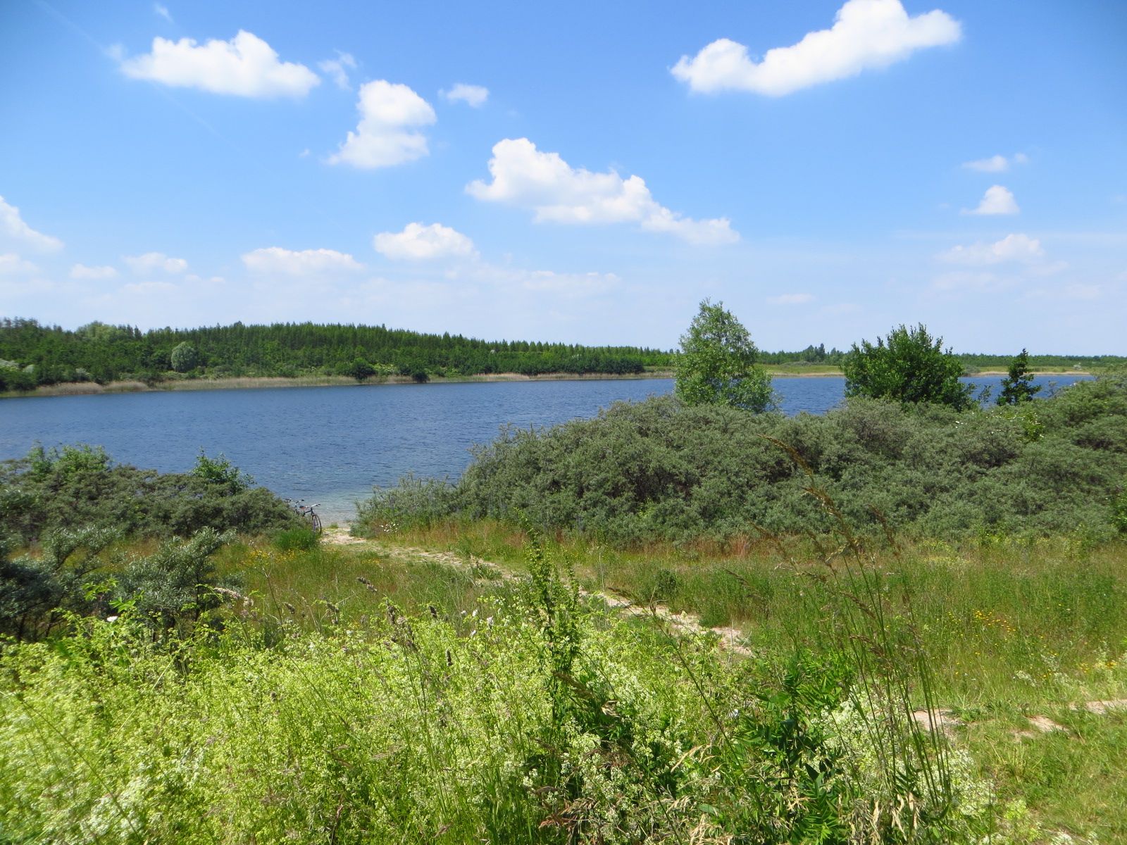 Blick auf den Werbeliner See