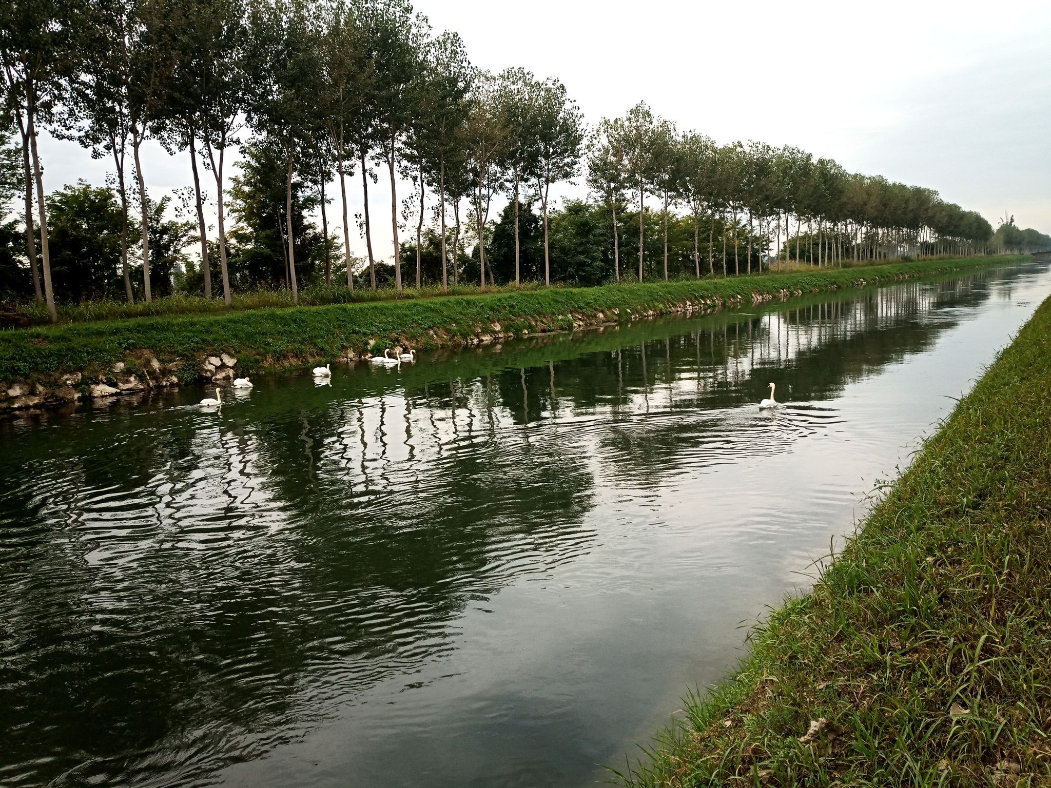 La tranquillità assoluta