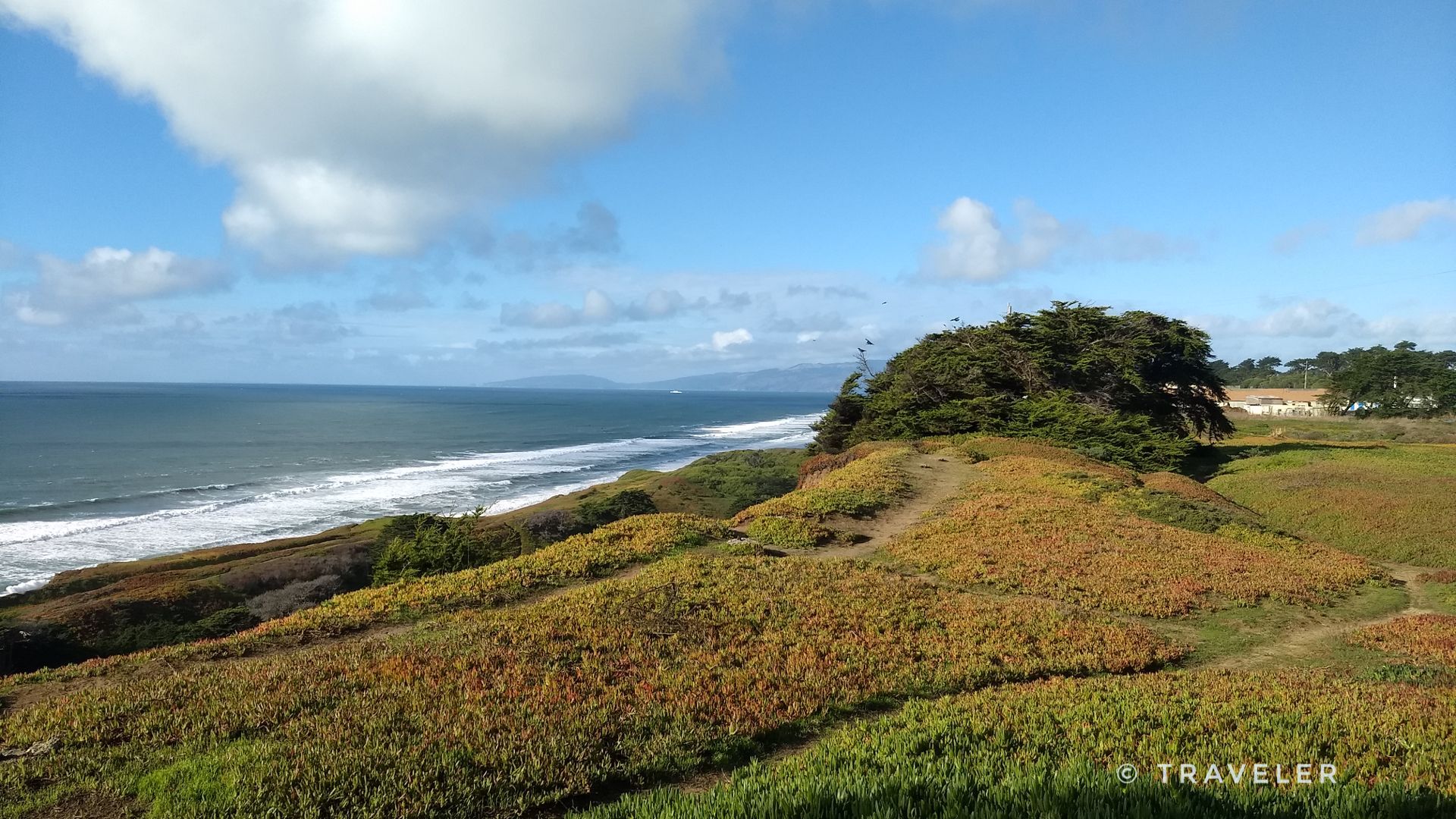 Sunny coastal view with waves, green hills, and a cluster of trees. - Thornton Beach Trail