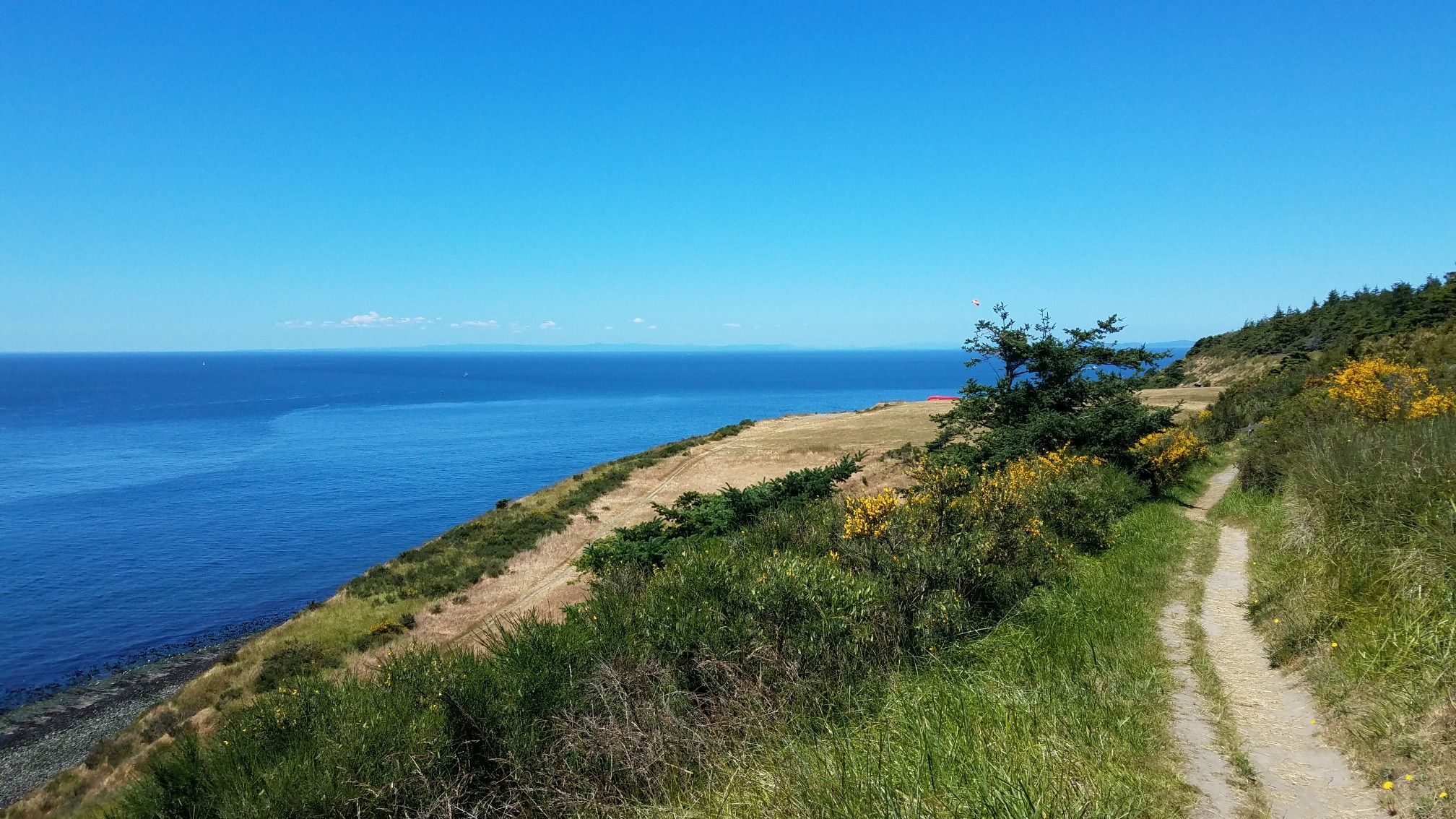 Sunny coastal trail winding along a grassy cliff overlooking a blue ocean. - Kettles Recreation Area loop from Fort Ebey State Park