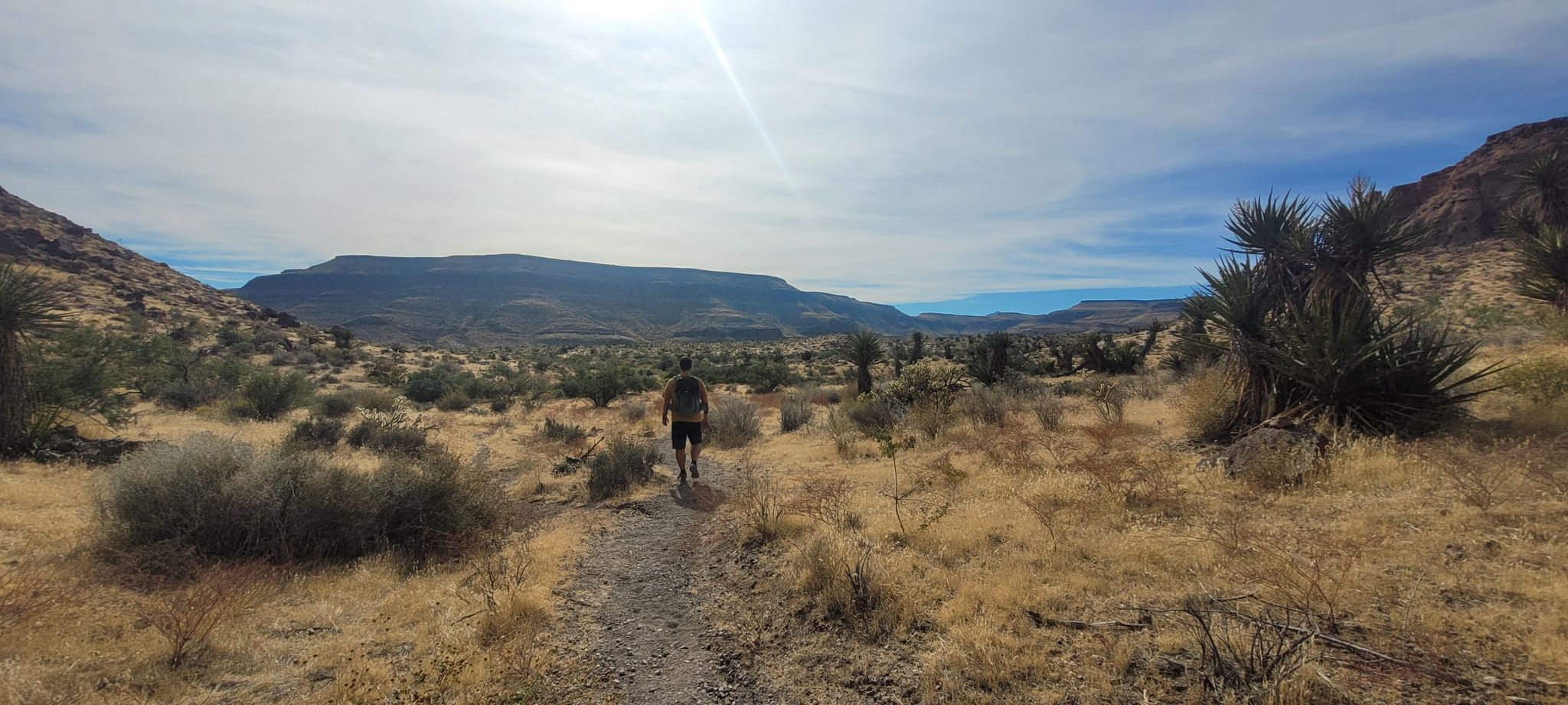 A person hikes on a desert trail towards distant mountains under bright sun. - Rings Loop Trail