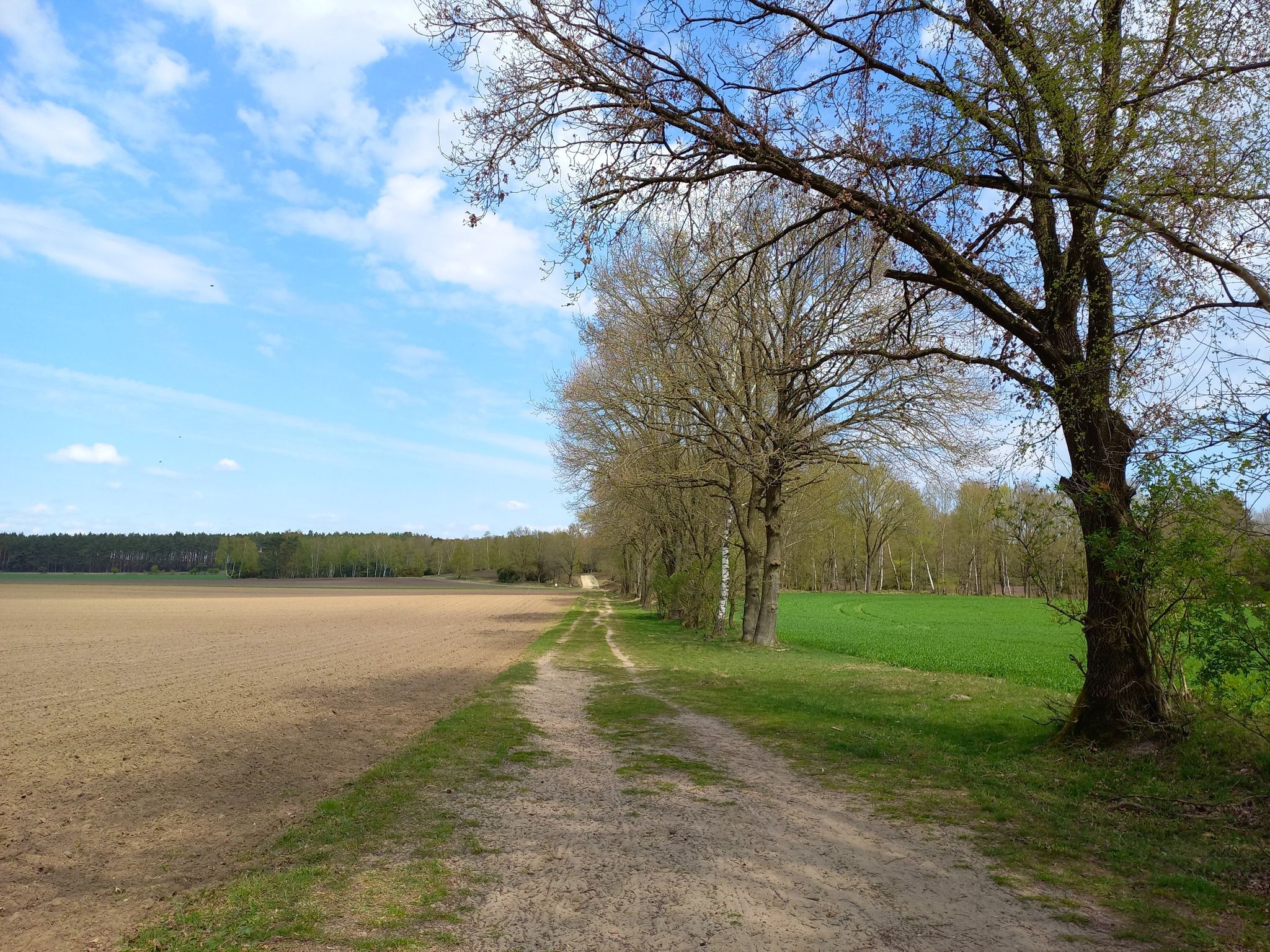 Heideweg