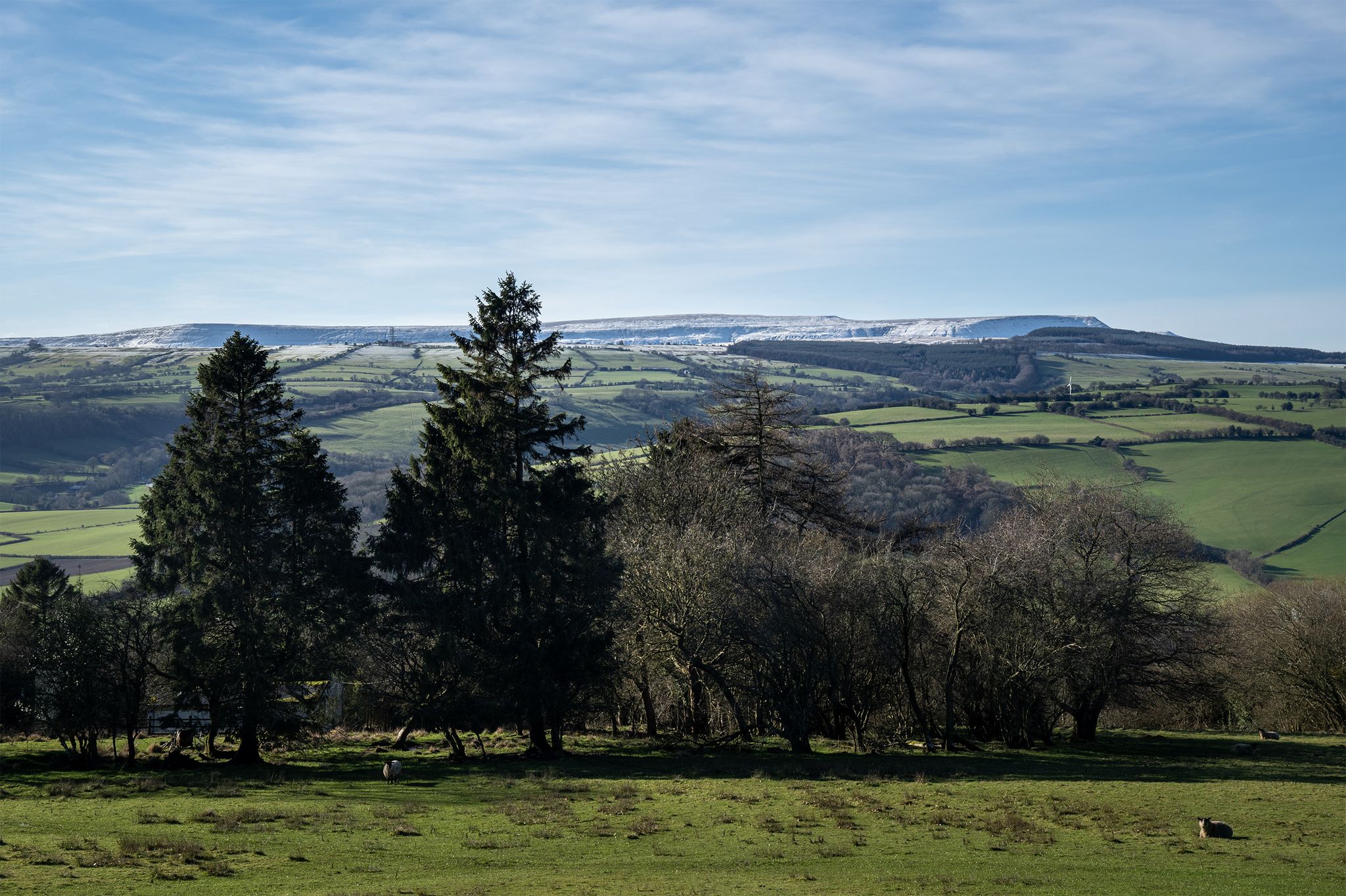 Black Mountains