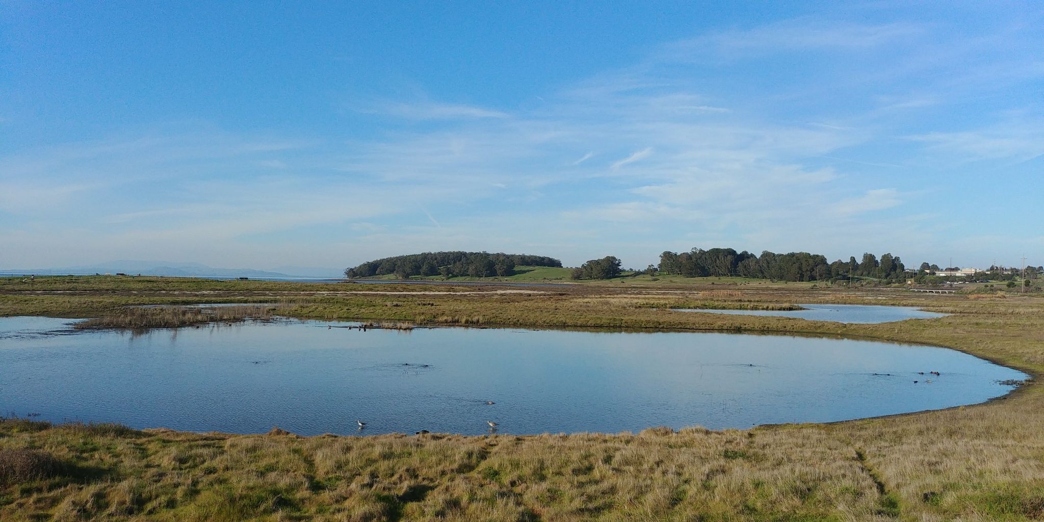 Wide view of calm water surrounded by marshland under a clear blue sky. - San Francisco Bay Trail
