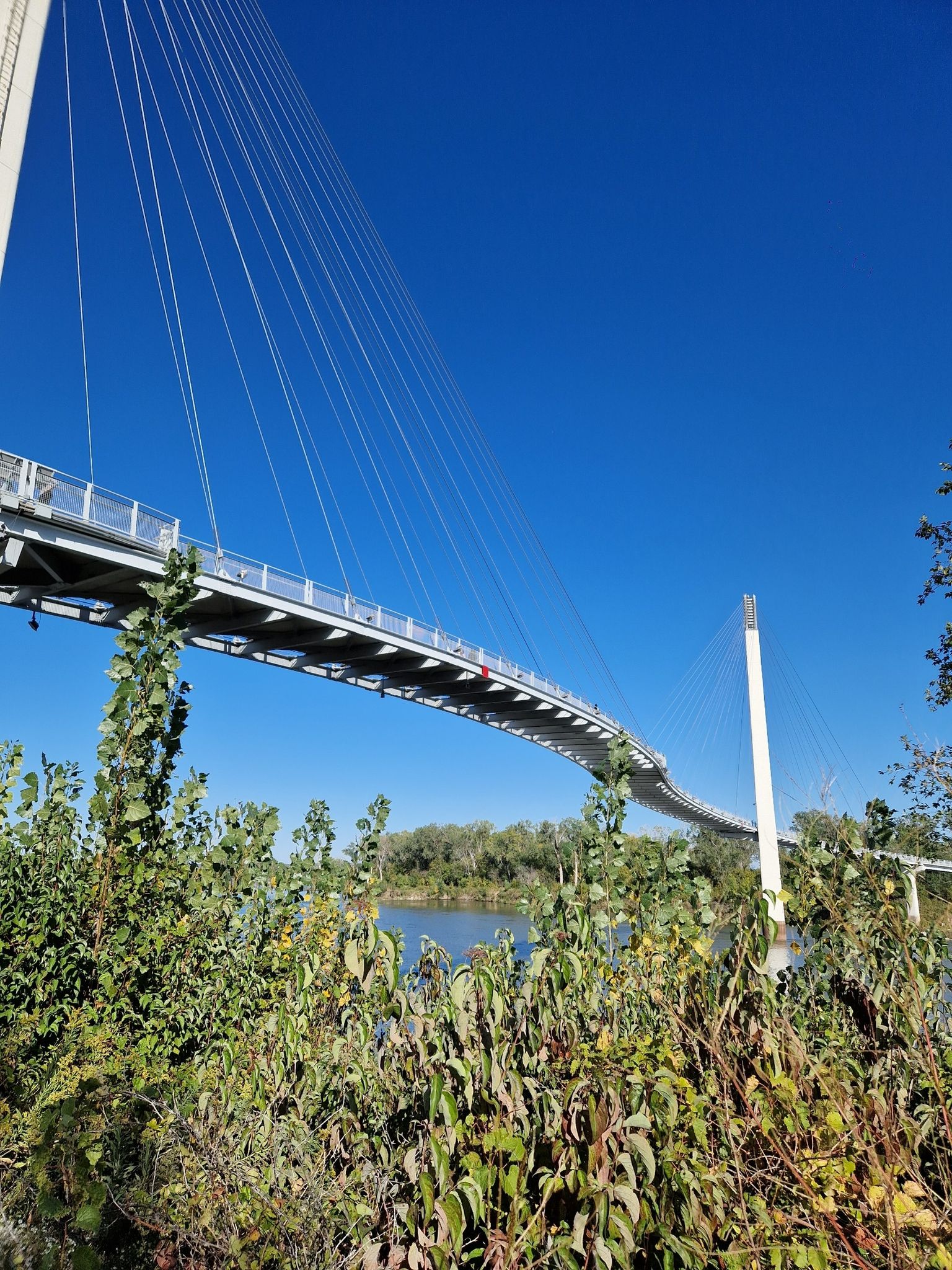 Modern suspension bridge over water, viewed through green leafy plants. - Carter Lake – Carter Lake Boardwalk loop from Omaha