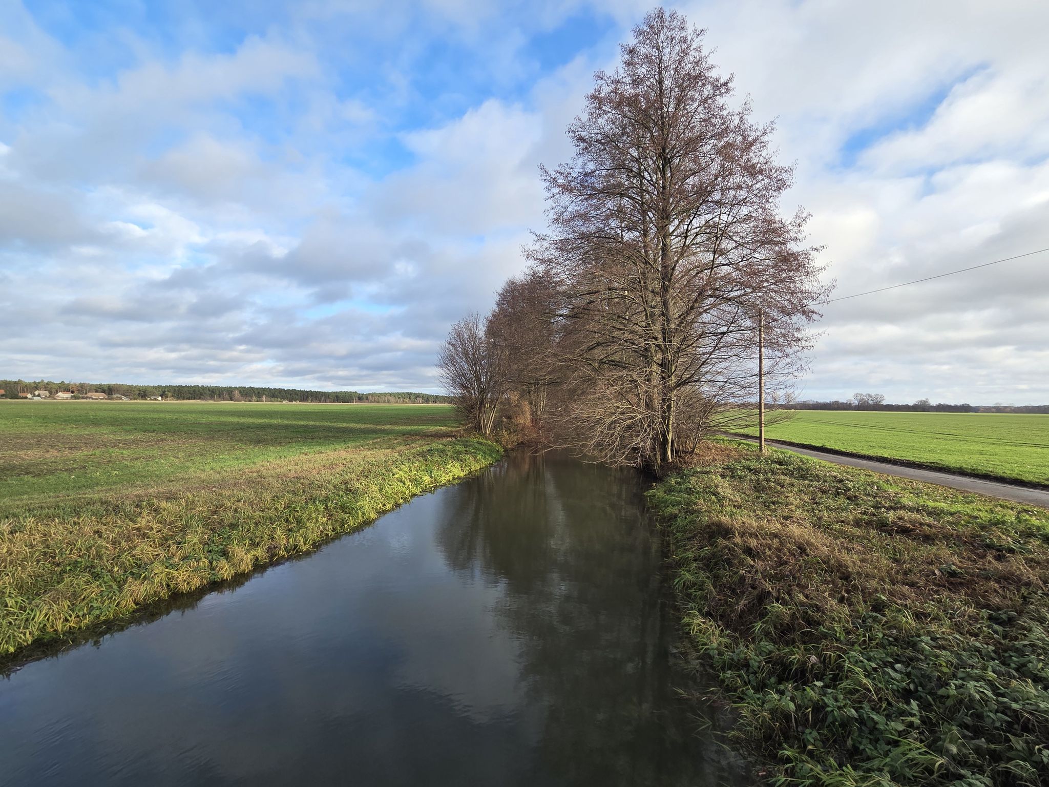 Blick vom Wehr