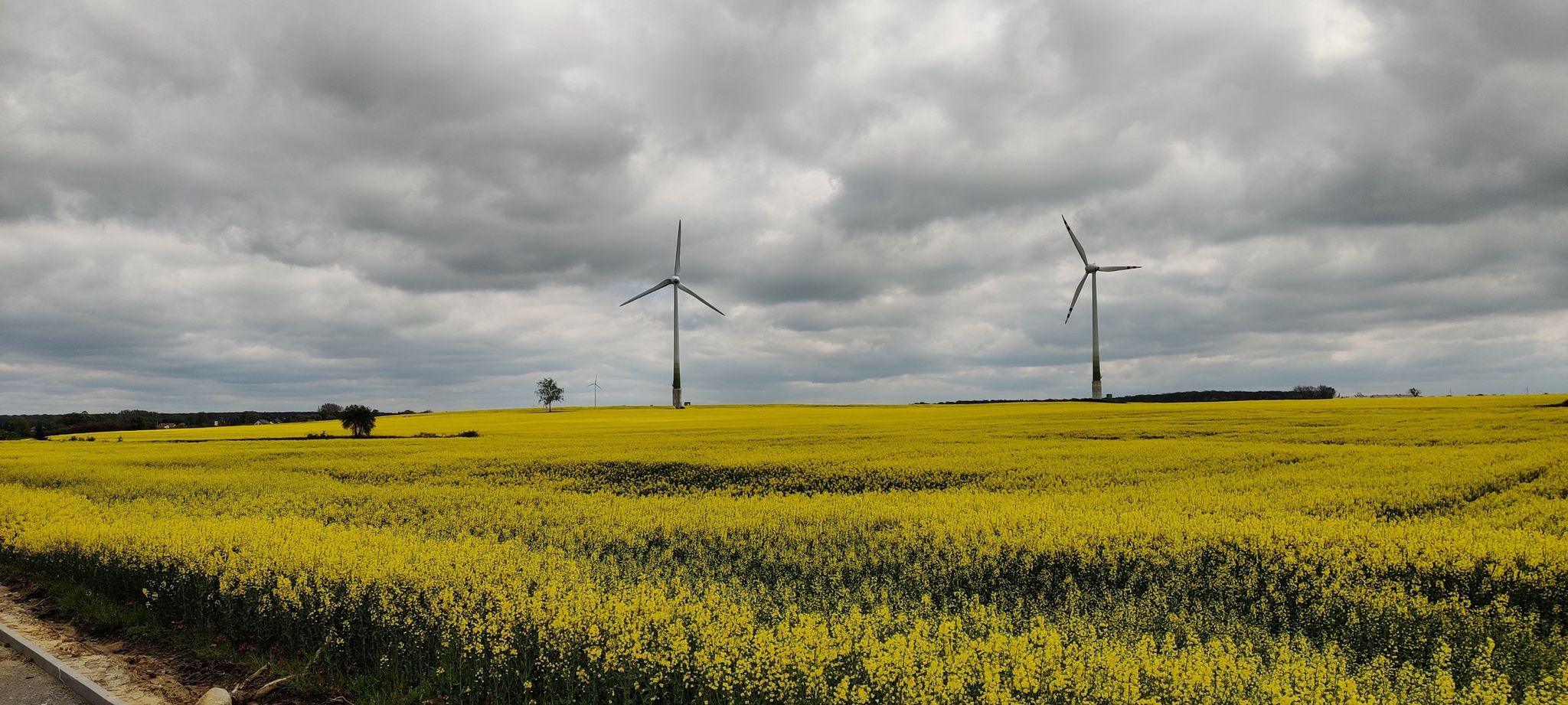 Wiatraki pomiędzy Wilczą a Kotlinem