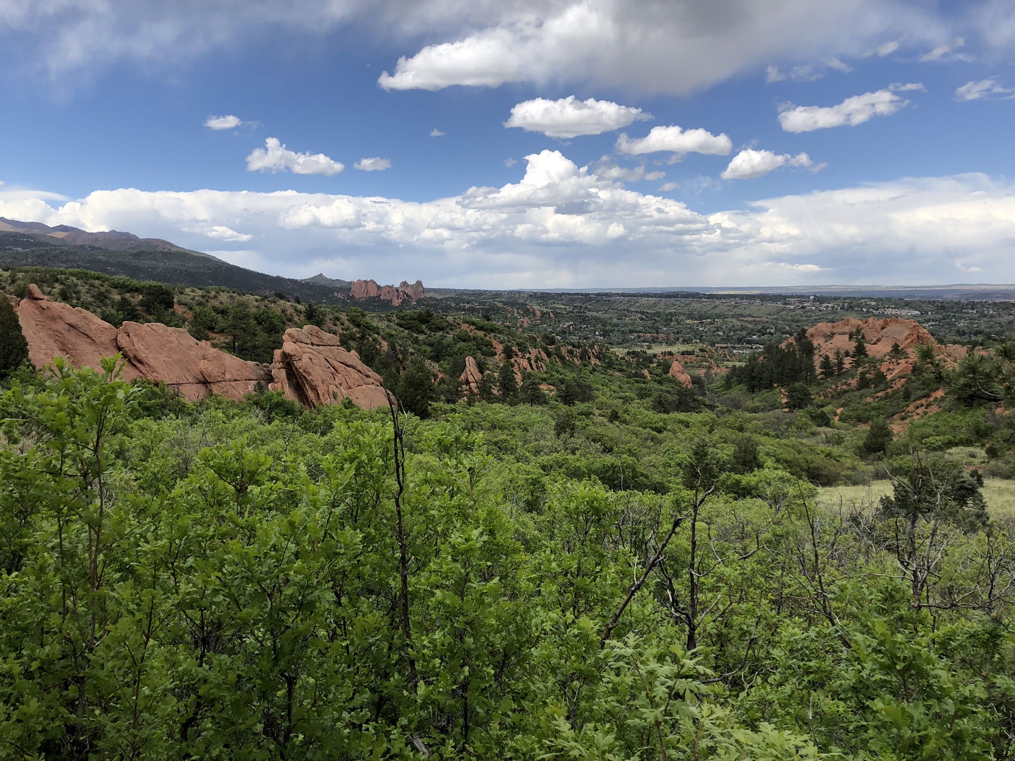 Green foliage and red rock formations under a partly cloudy sky. - Red Rock Rim and Greenlee Loop