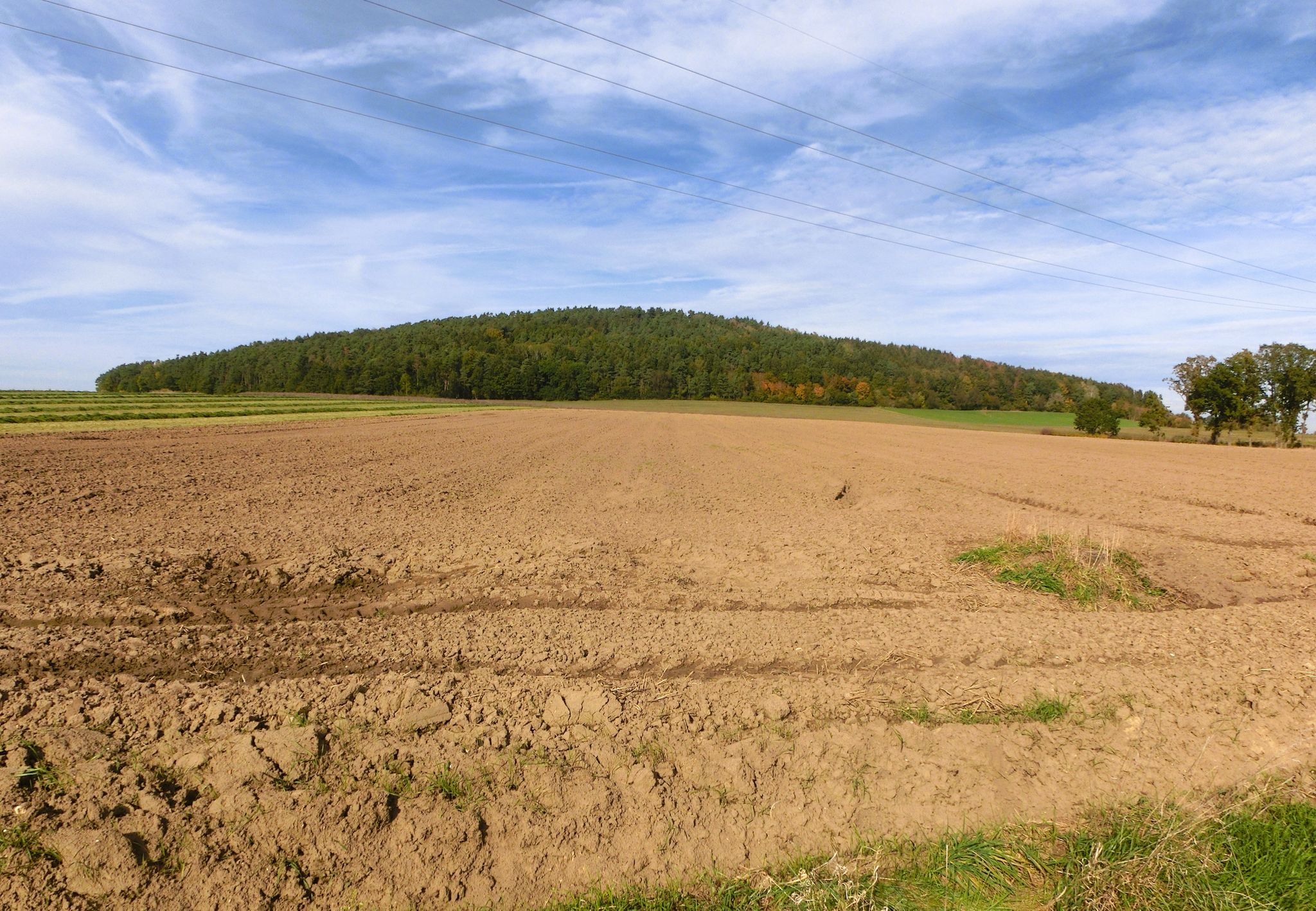 Möninger Berg