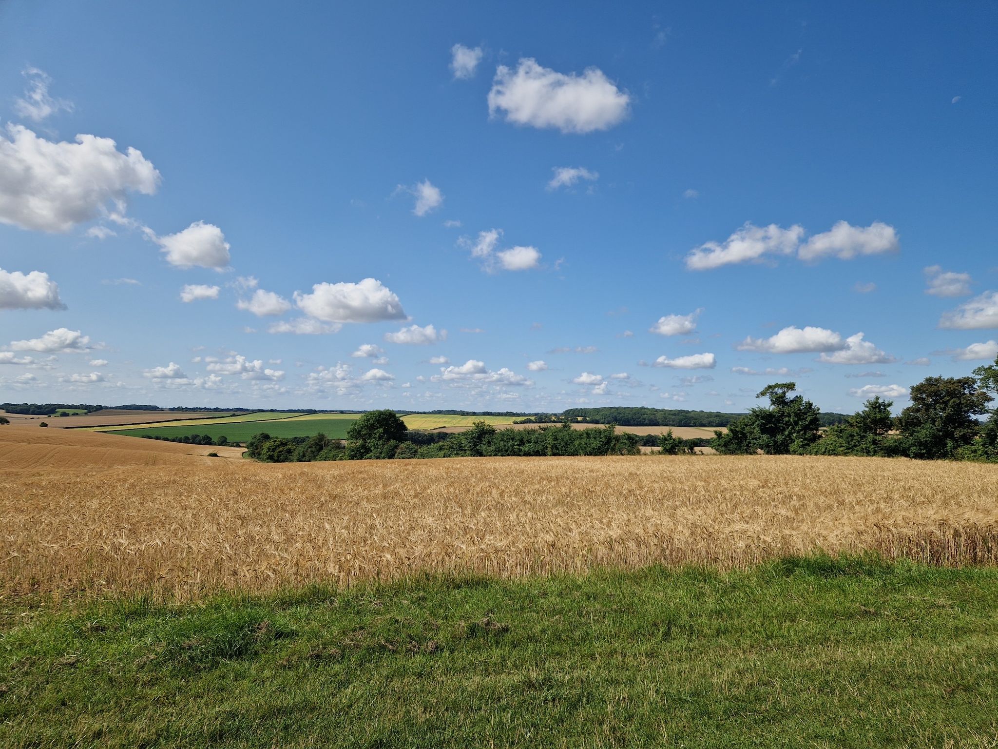 beautiful views from bench at the top of the hill.