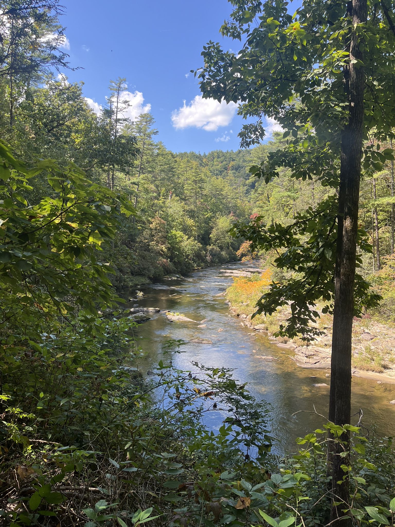 A wide river flows through a lush green forest under a blue sky. - Foothills Trail: Whitewater Falls to Oconee State Park