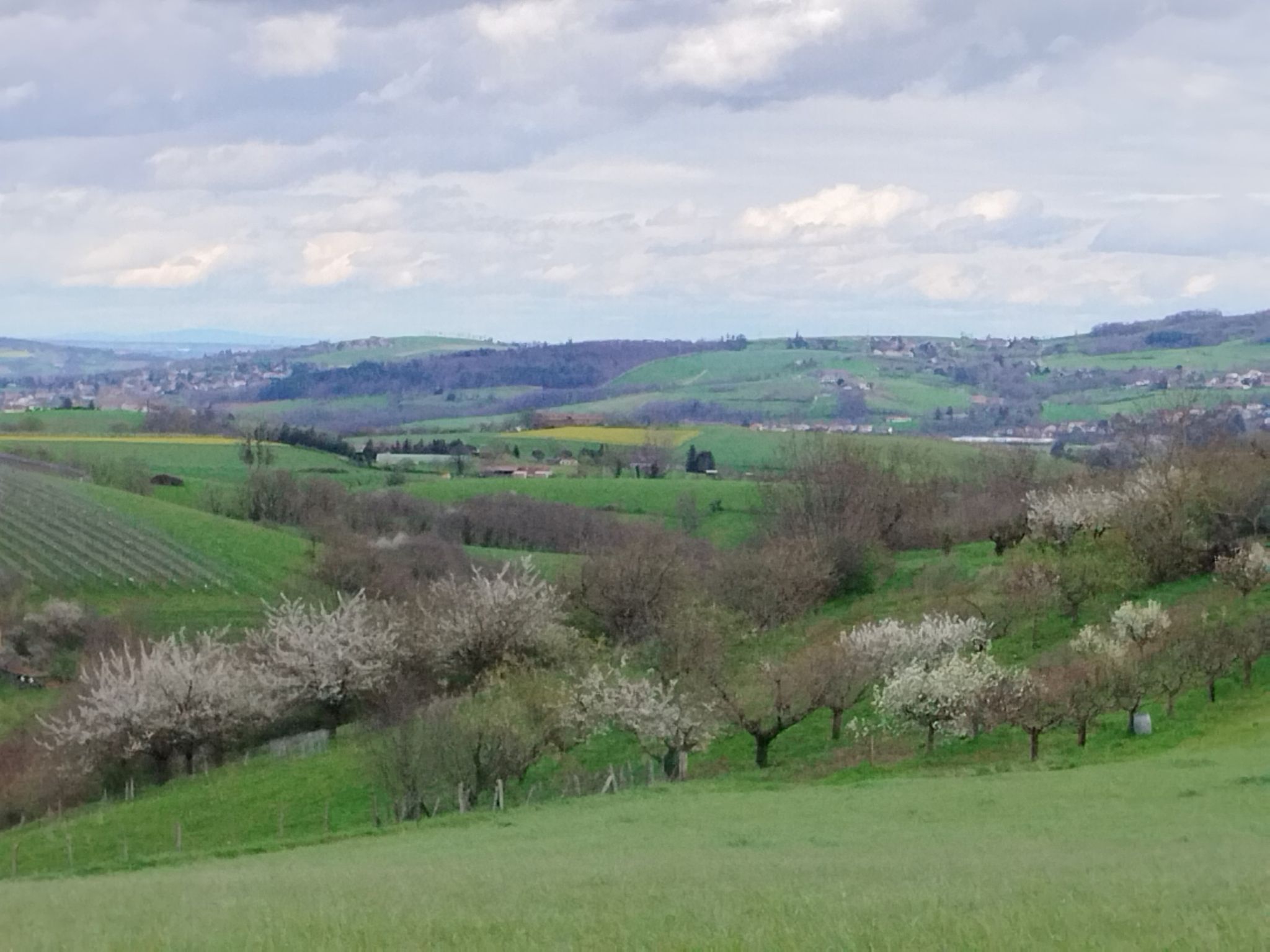 vallée de la Brevenne