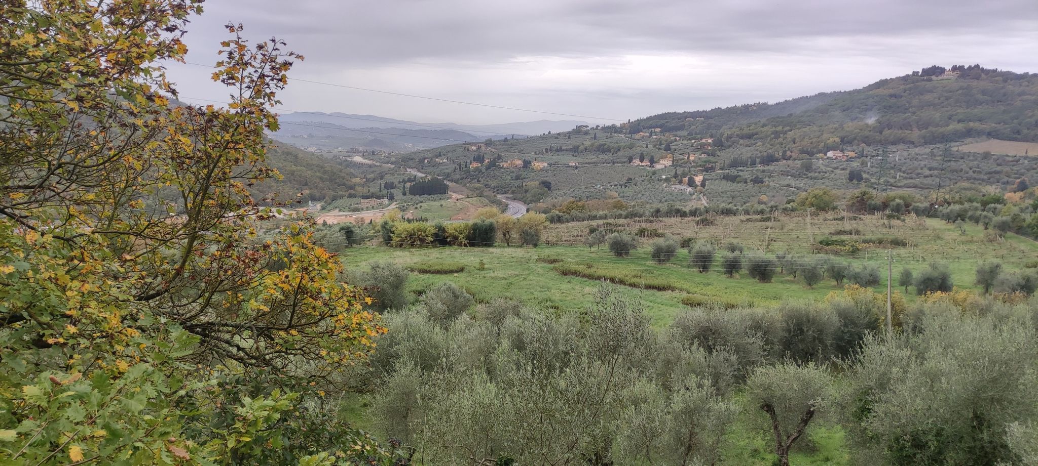 panoramica