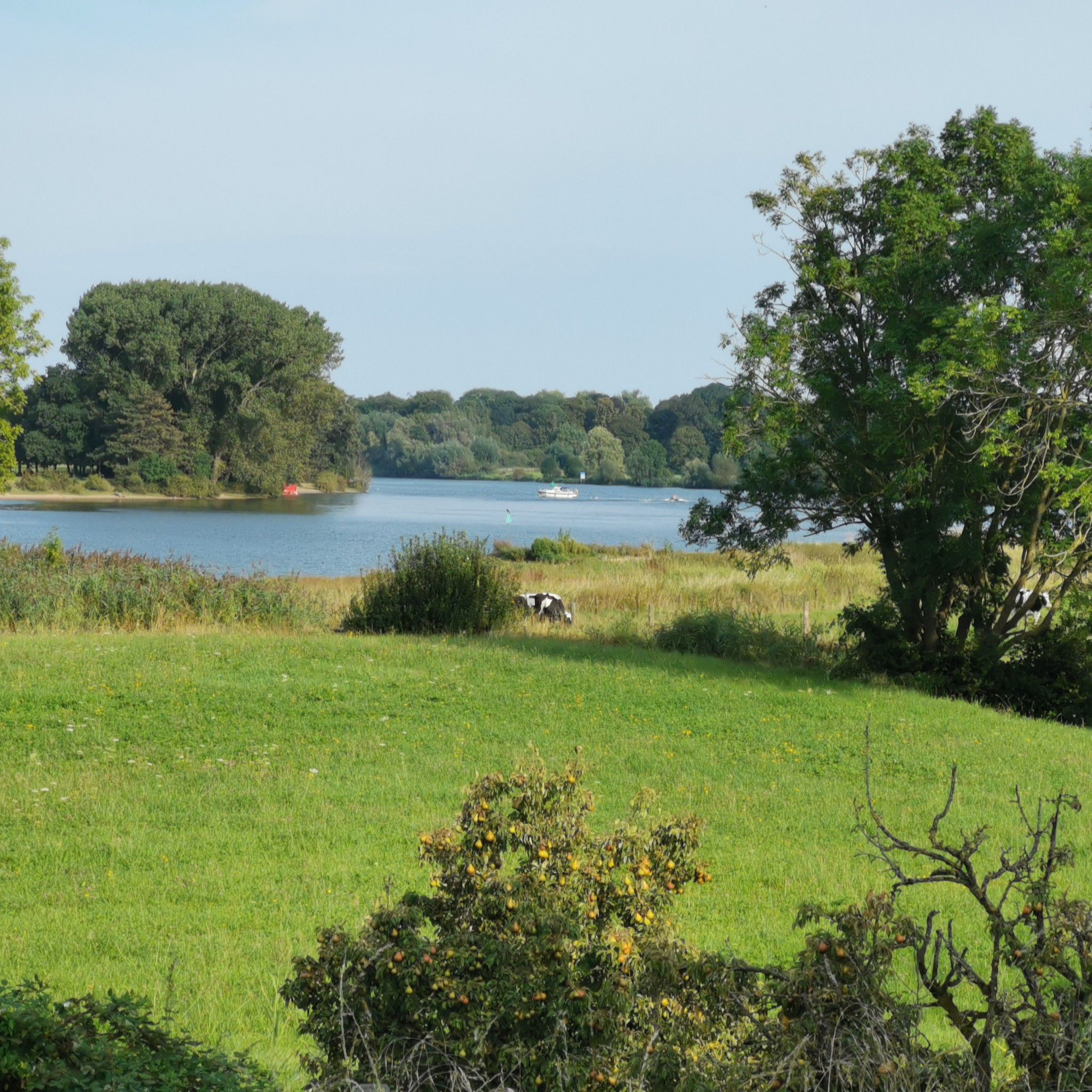 Oude Maas