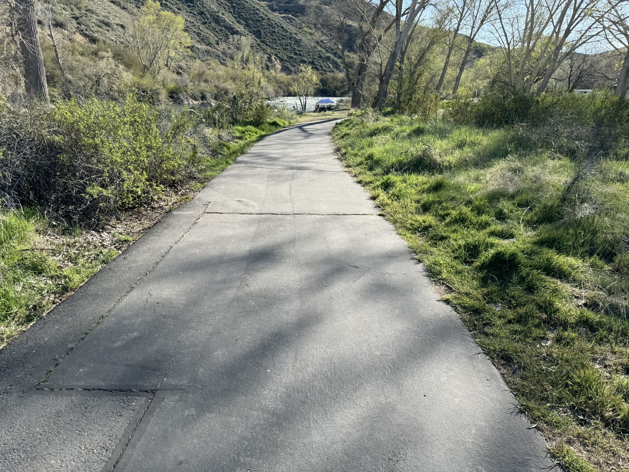 Paved path winding through green grass and trees towards distant hills. - Tahoe-Pyramid Bikeway and Caughlin Ranch Loop