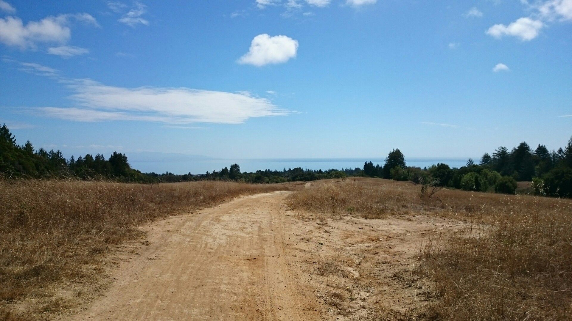 Wide dirt path through dry golden fields towards a distant blue ocean. - Chuck Beebe Scenic Bench – U-Con Trail loop from Mount Hermon