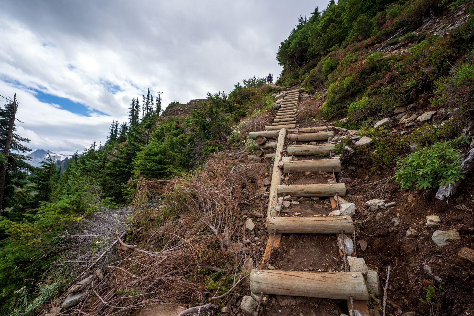 Wooden log steps ascending a steep, forested mountain trail under cloudy skies. - Chain Lakes Loop Trail